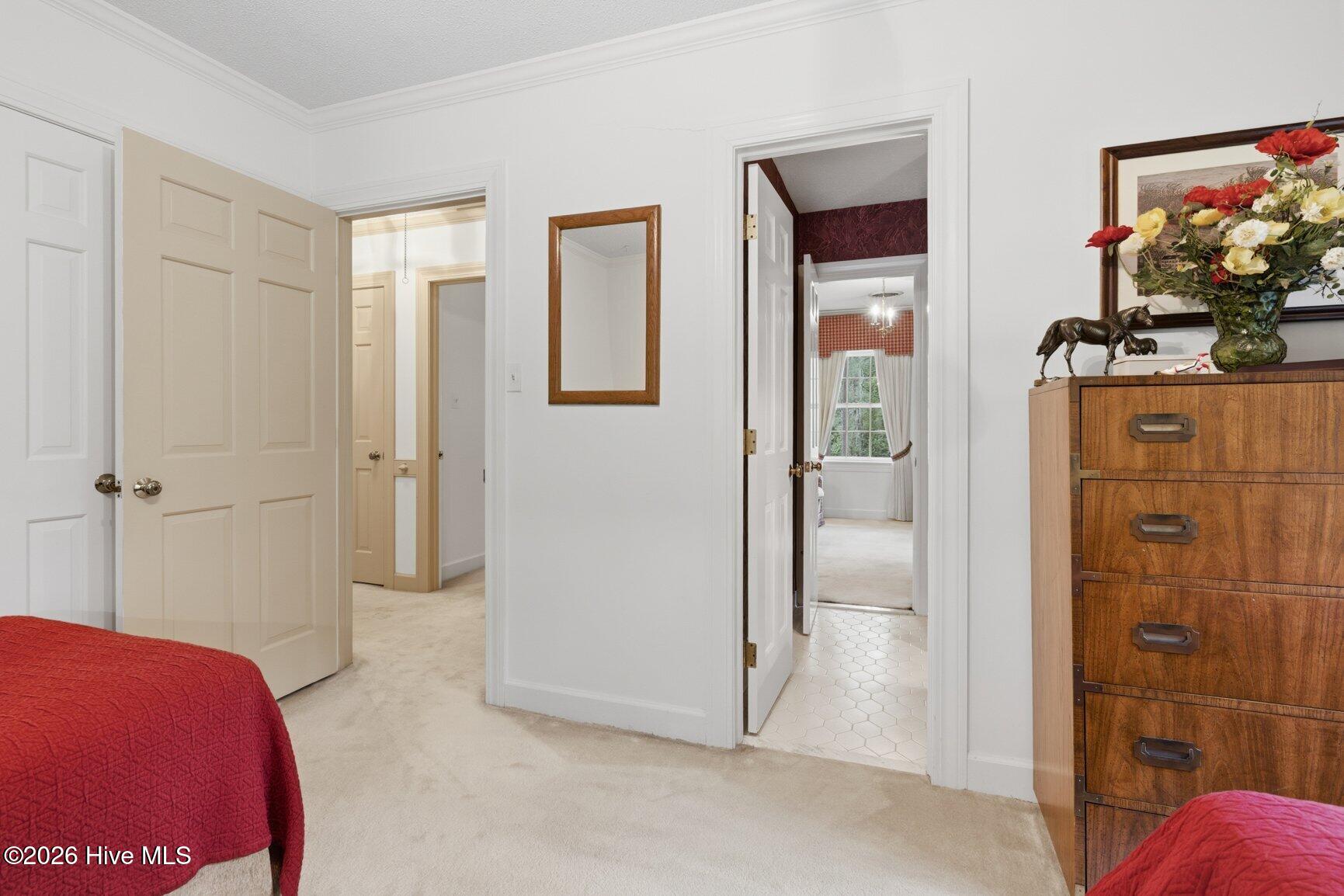 133 Steeplechase Road Property Photo 38