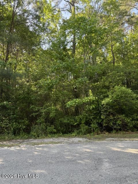103 Emerson Court Property Photo 2