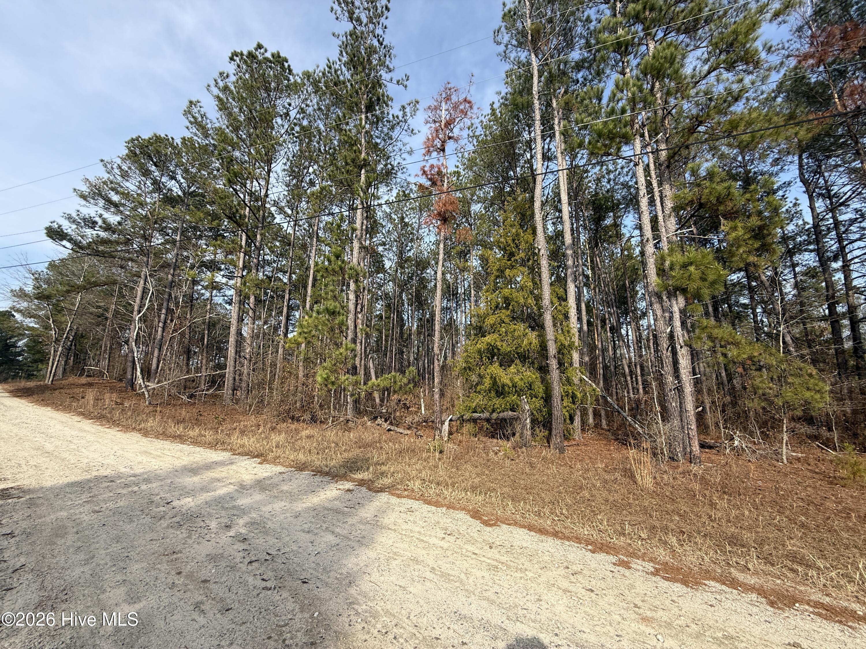 165 Wayne Lane Property Photo 1