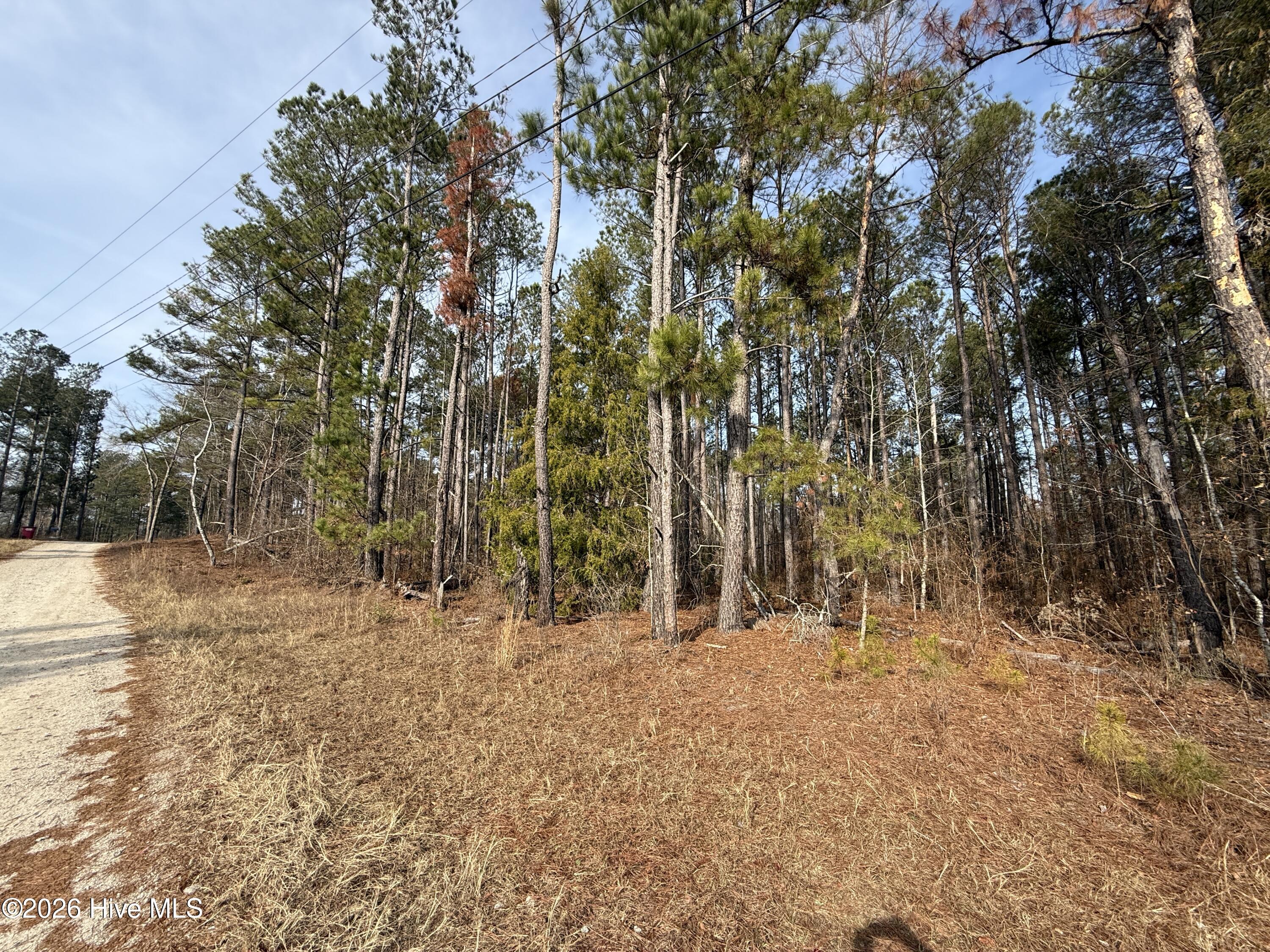 165 Wayne Lane Property Photo 2