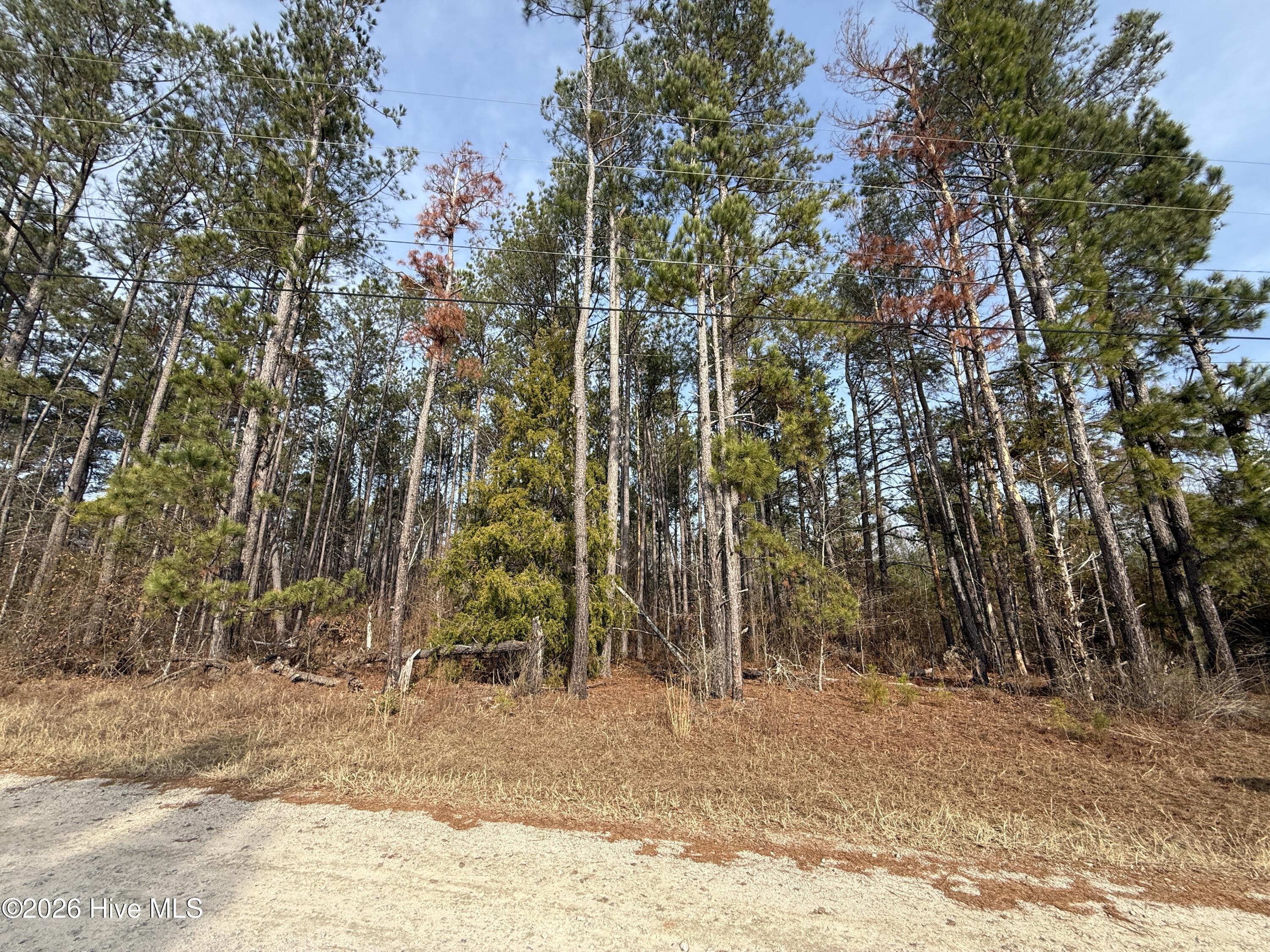 165 Wayne Lane Property Photo 4