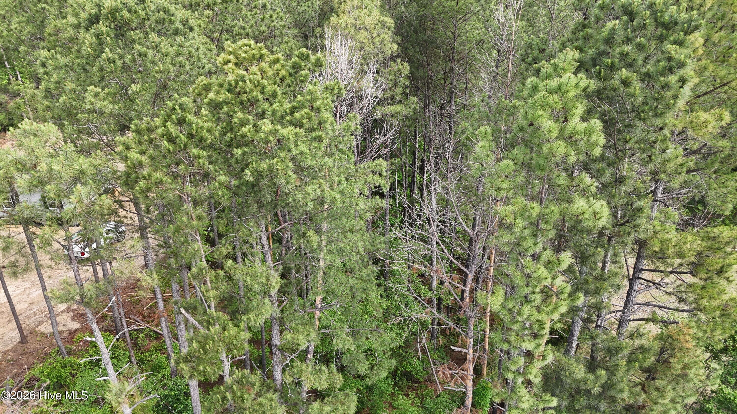 165 Wayne Lane Property Photo 6