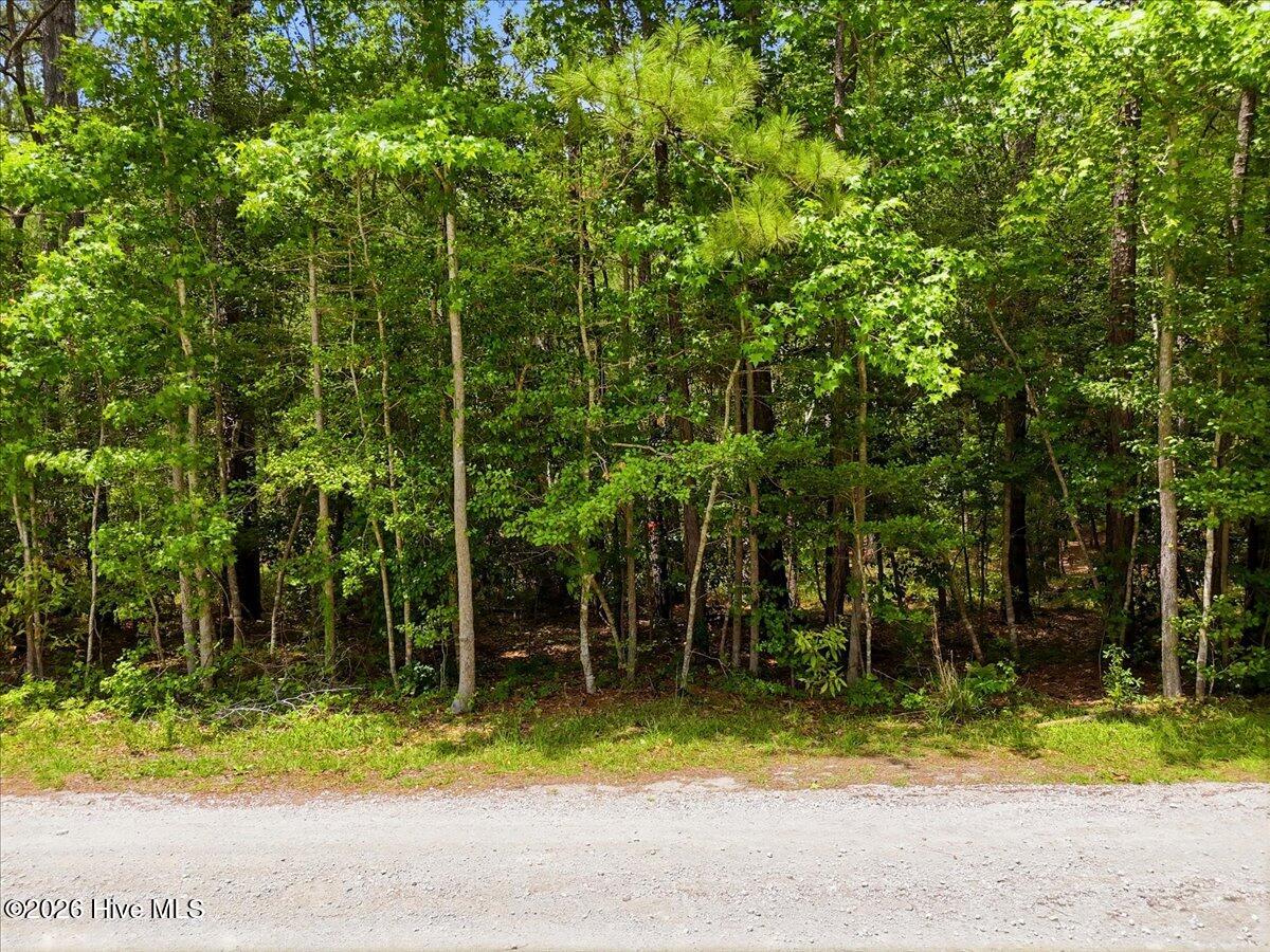 491 Argonne Road Property Photo 13