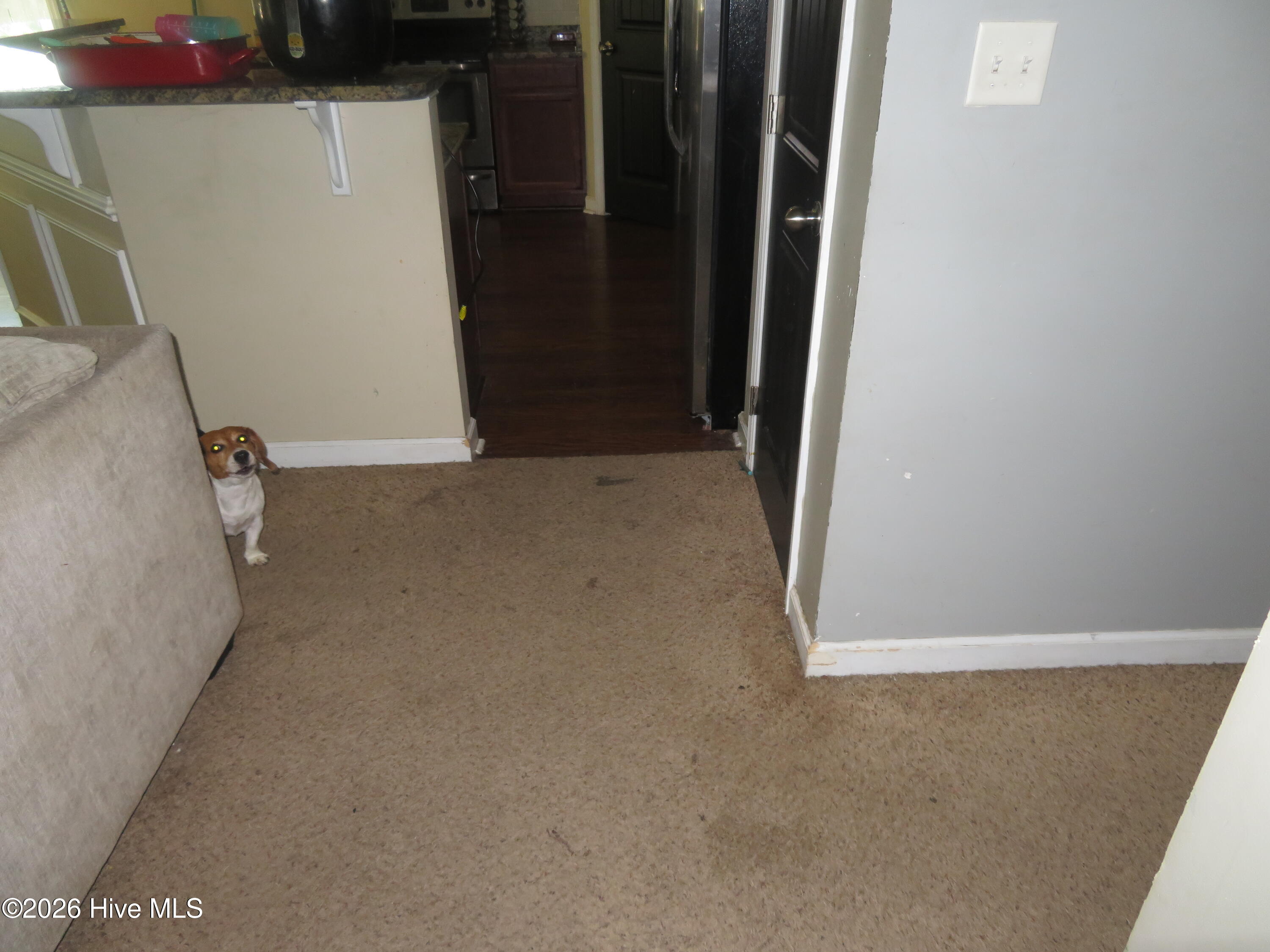 702 Ashley Meadow Lane Property Photo 10