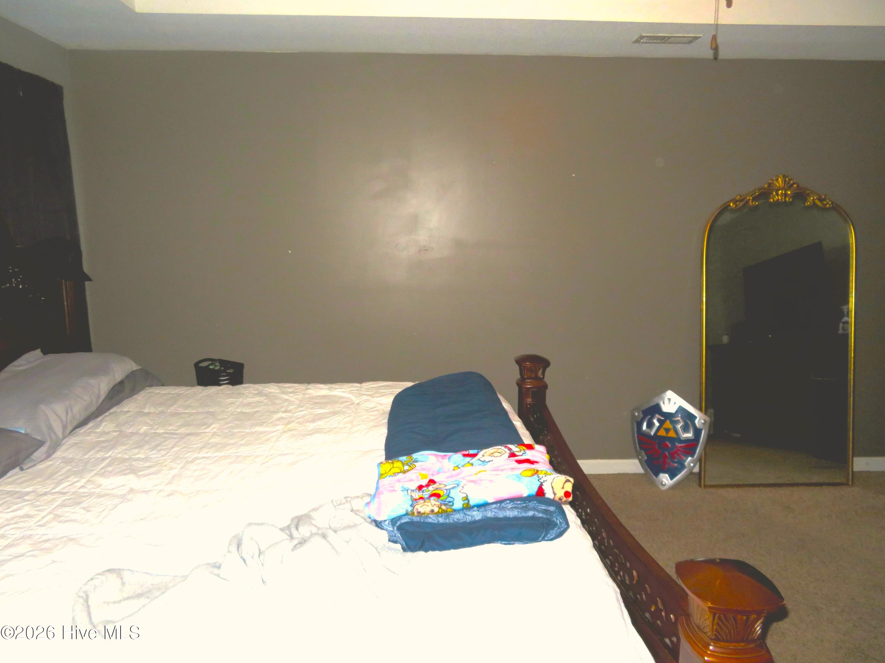 702 Ashley Meadow Lane Property Photo 21