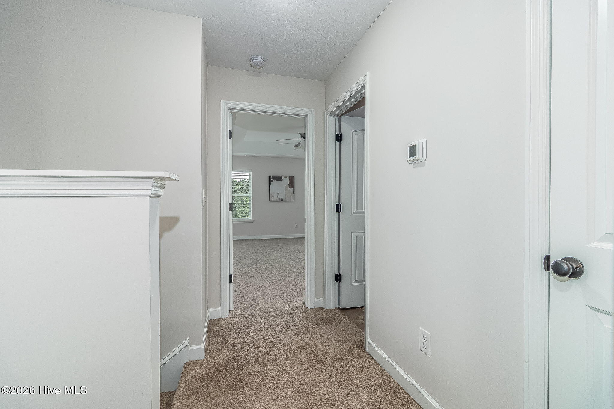 139 Dublin Loop Property Photo 26