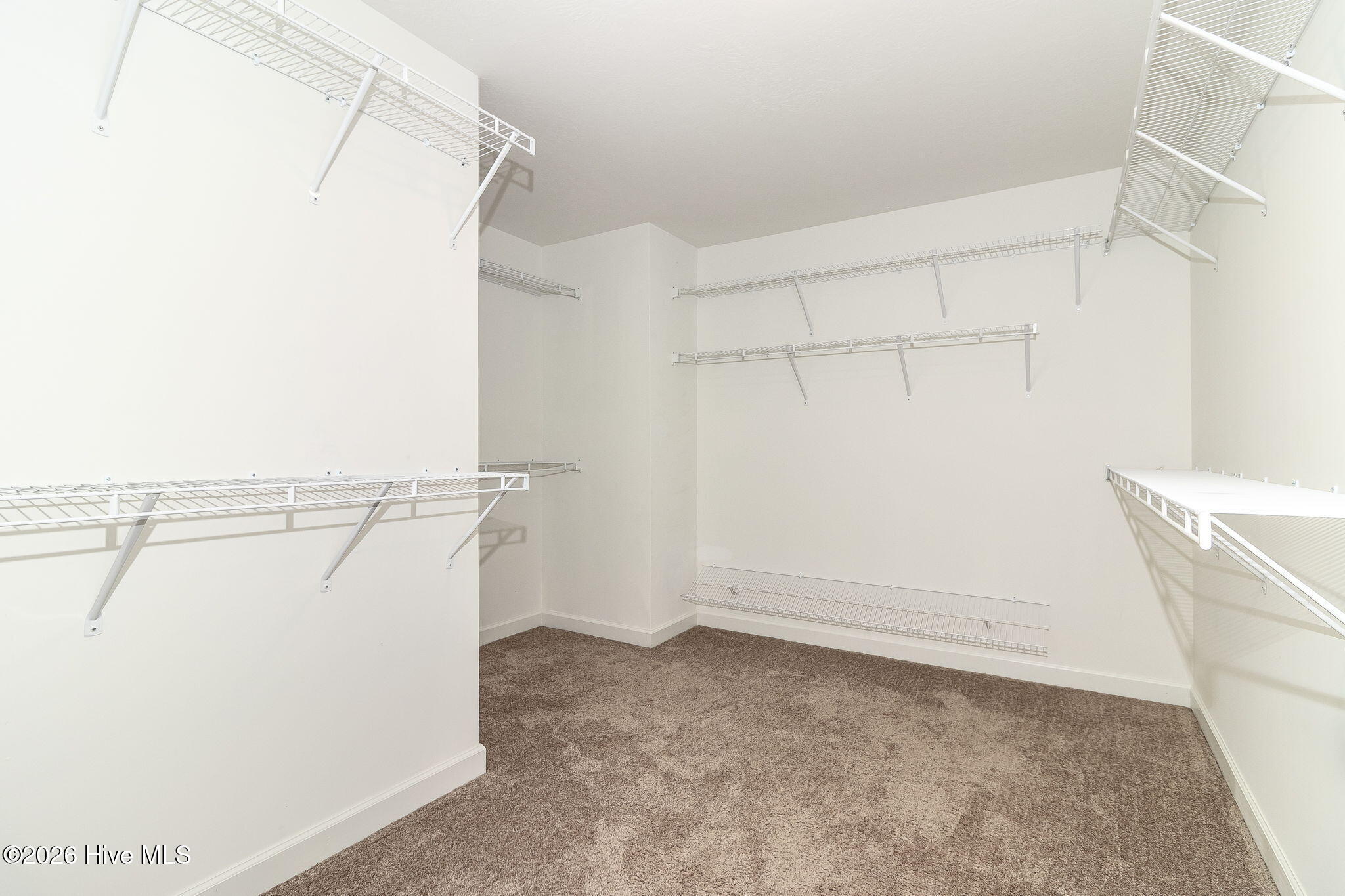 139 Dublin Loop Property Photo 30