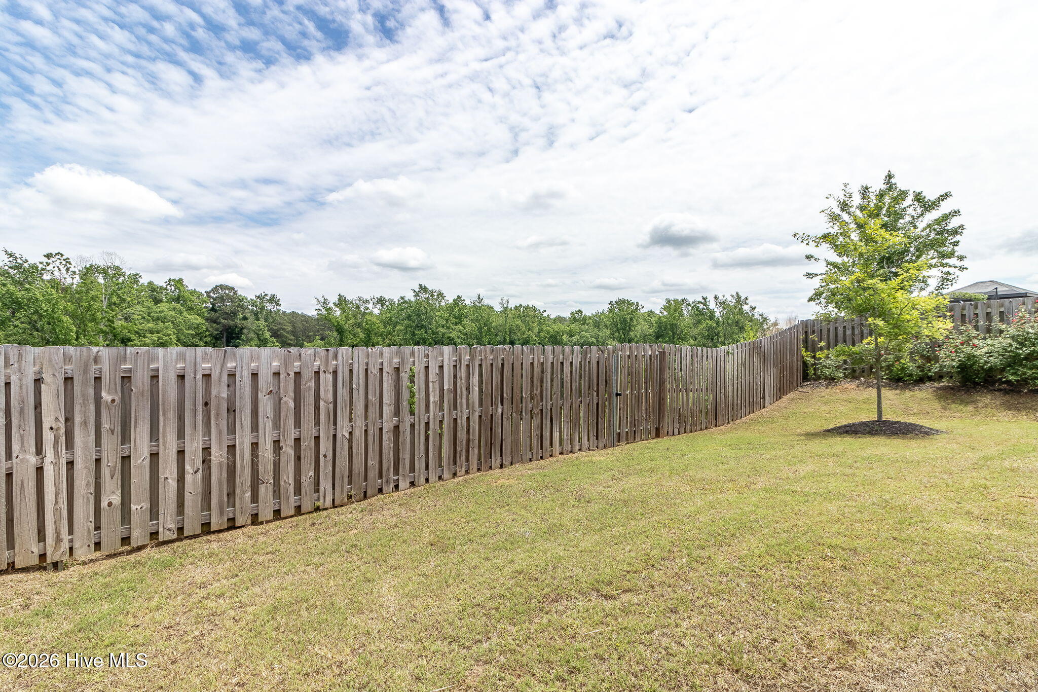 139 Dublin Loop Property Photo 52