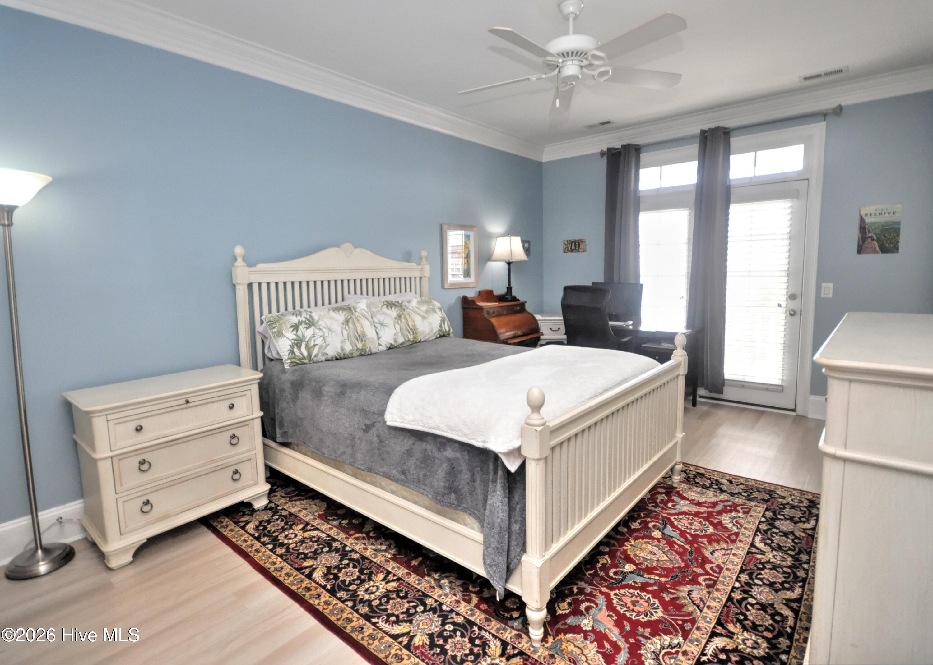41 Moore Street Property Photo 49