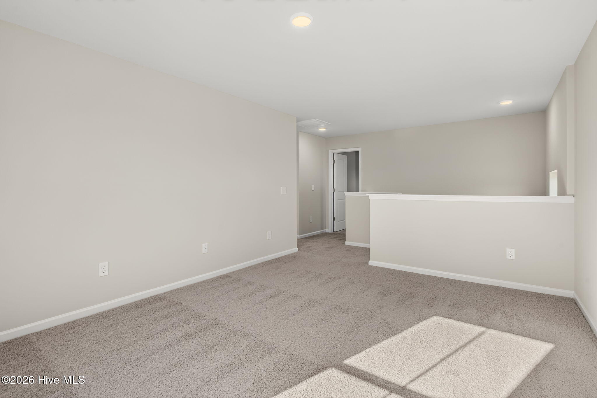 20 Meadows Lane Property Photo 21