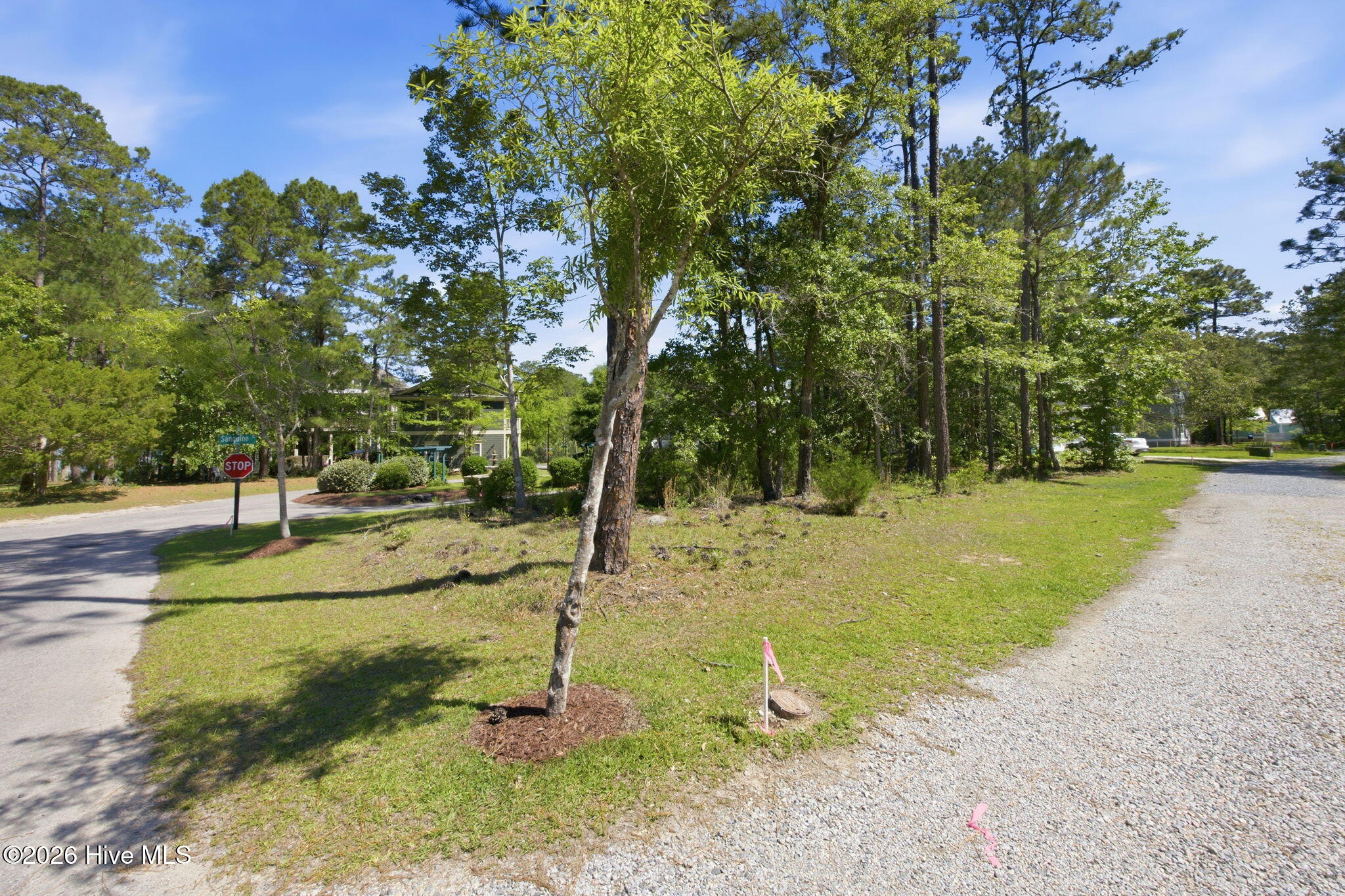 53a Property Photo 4