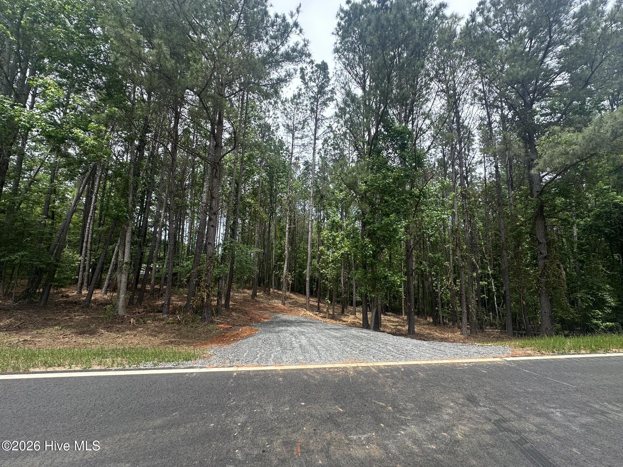 Lot E Ridge Road Property Photo 1
