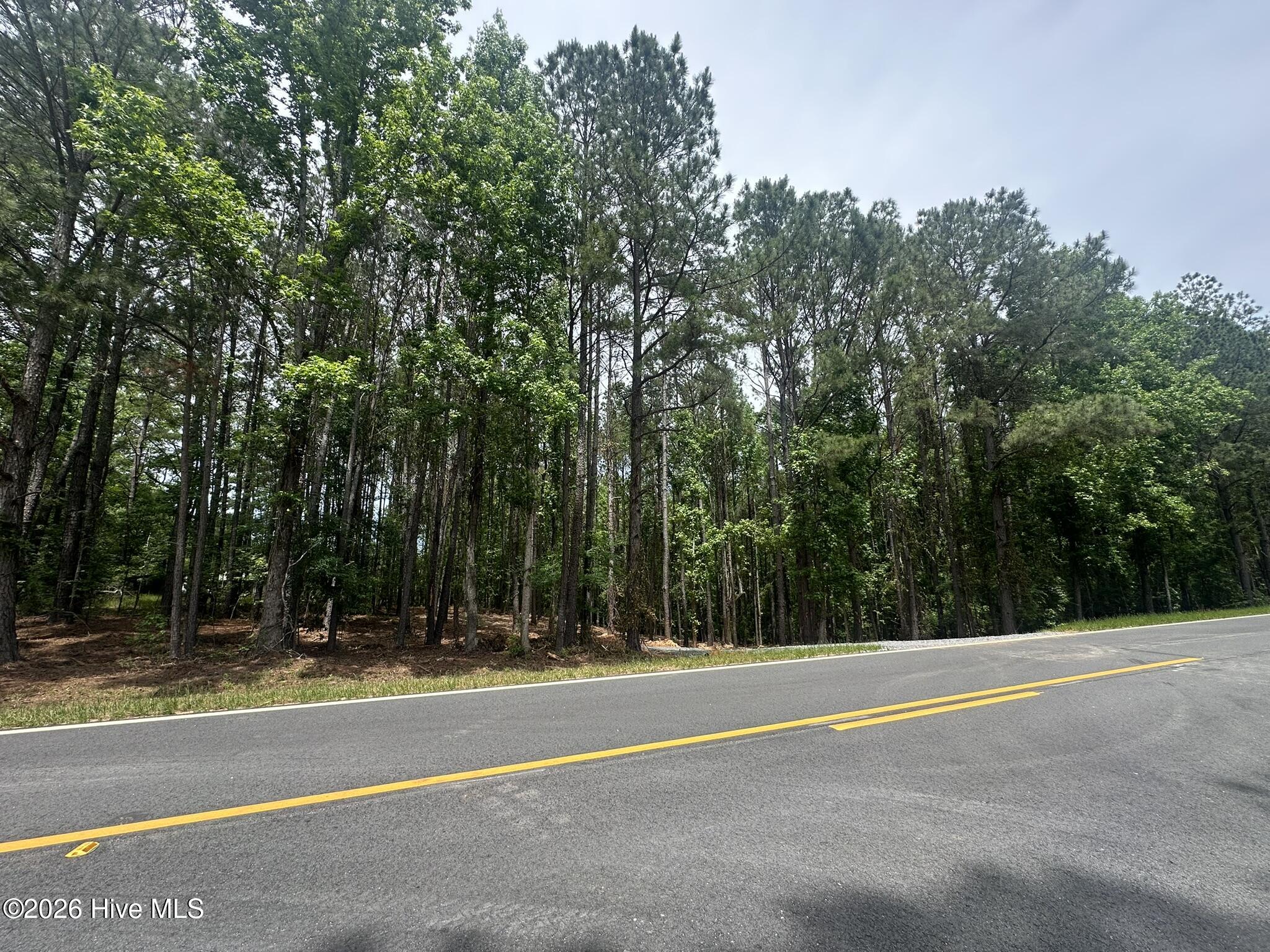 Lot E Ridge Road Property Photo 2