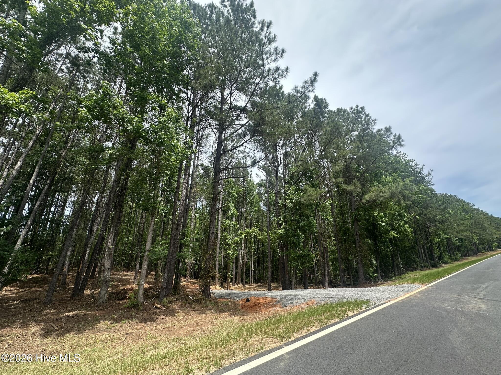 Lot E Ridge Road Property Photo 3