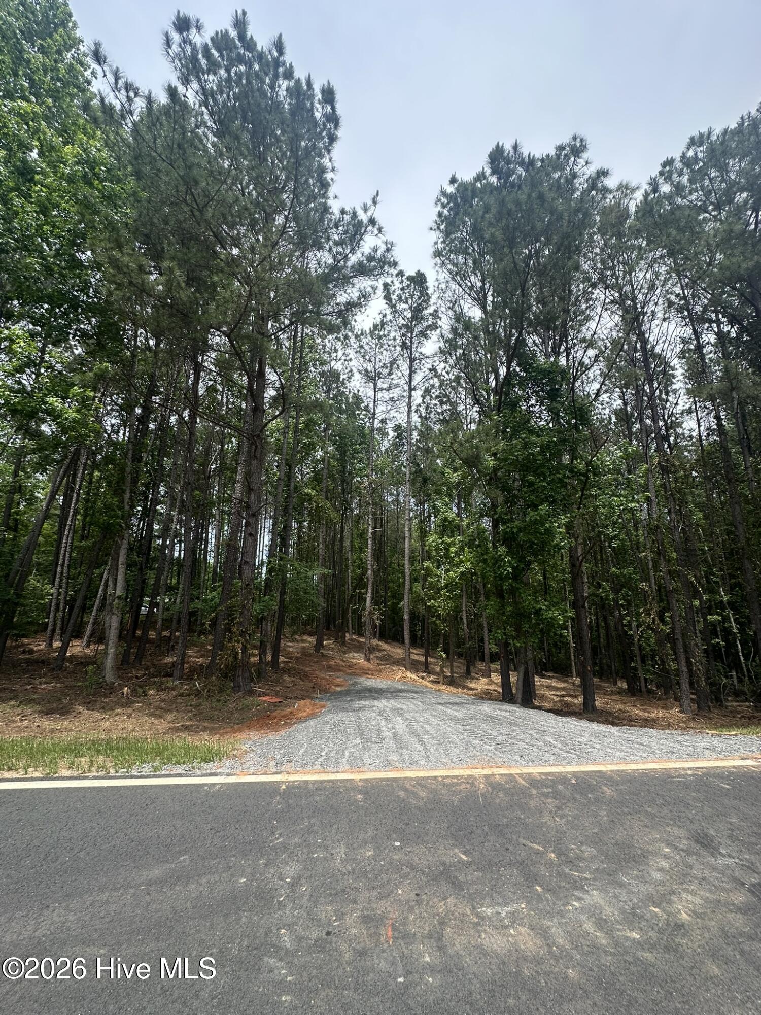 Lot E Ridge Road Property Photo 4