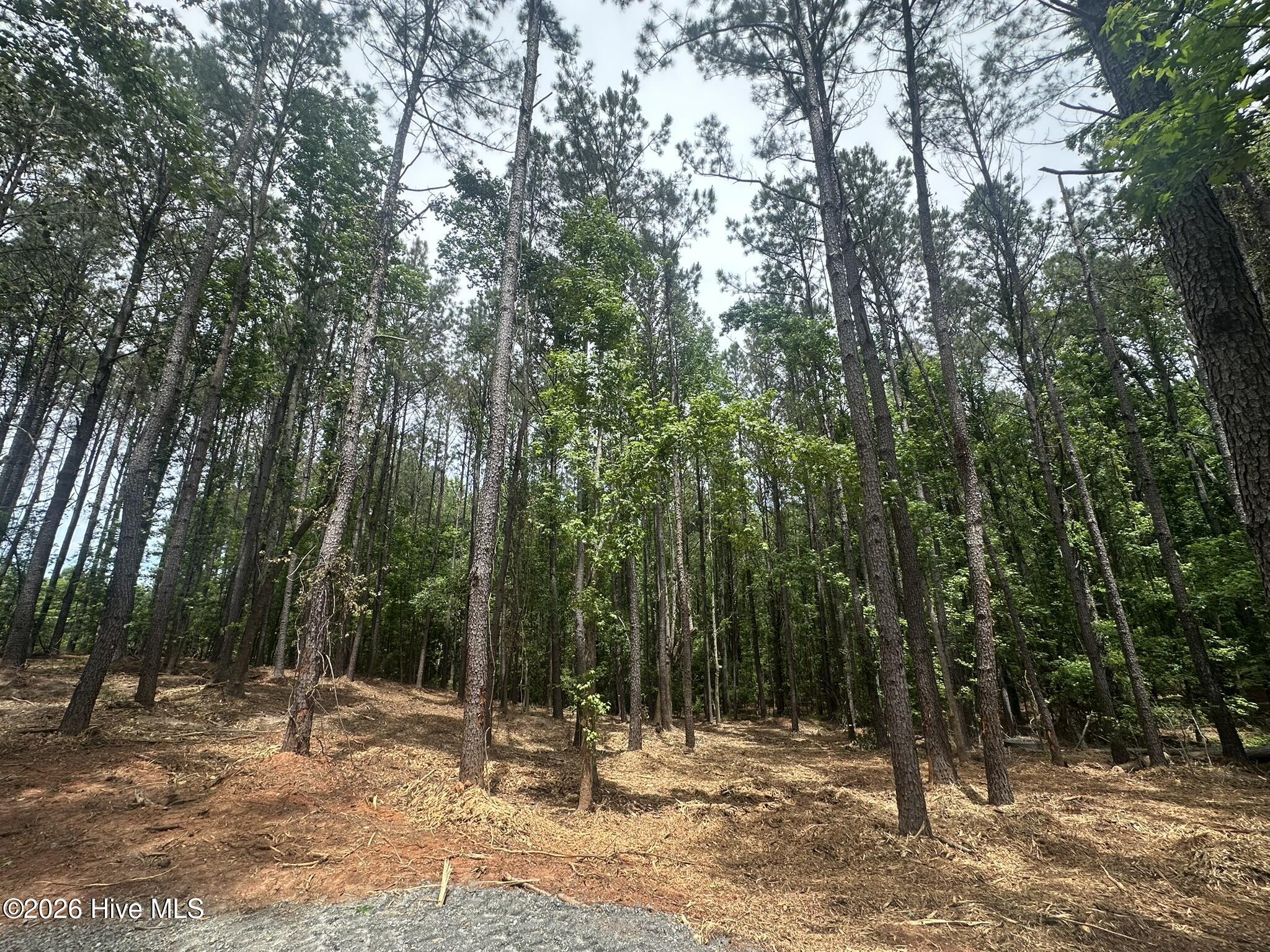 Lot E Ridge Road Property Photo 5