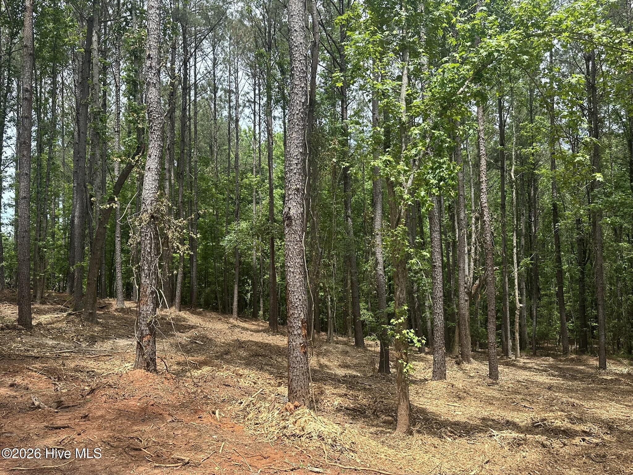 Lot E Ridge Road Property Photo 6
