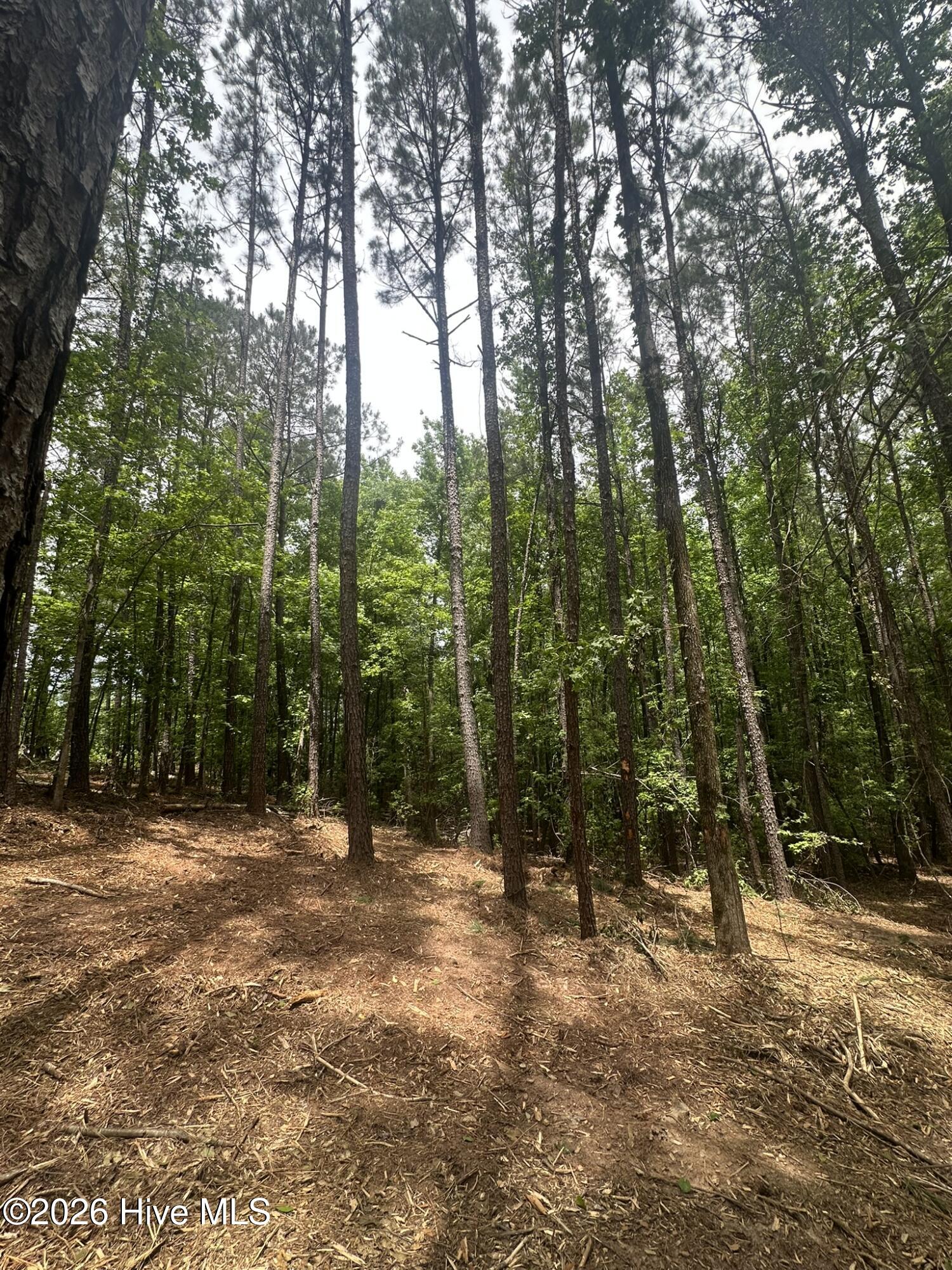 Lot E Ridge Road Property Photo 8