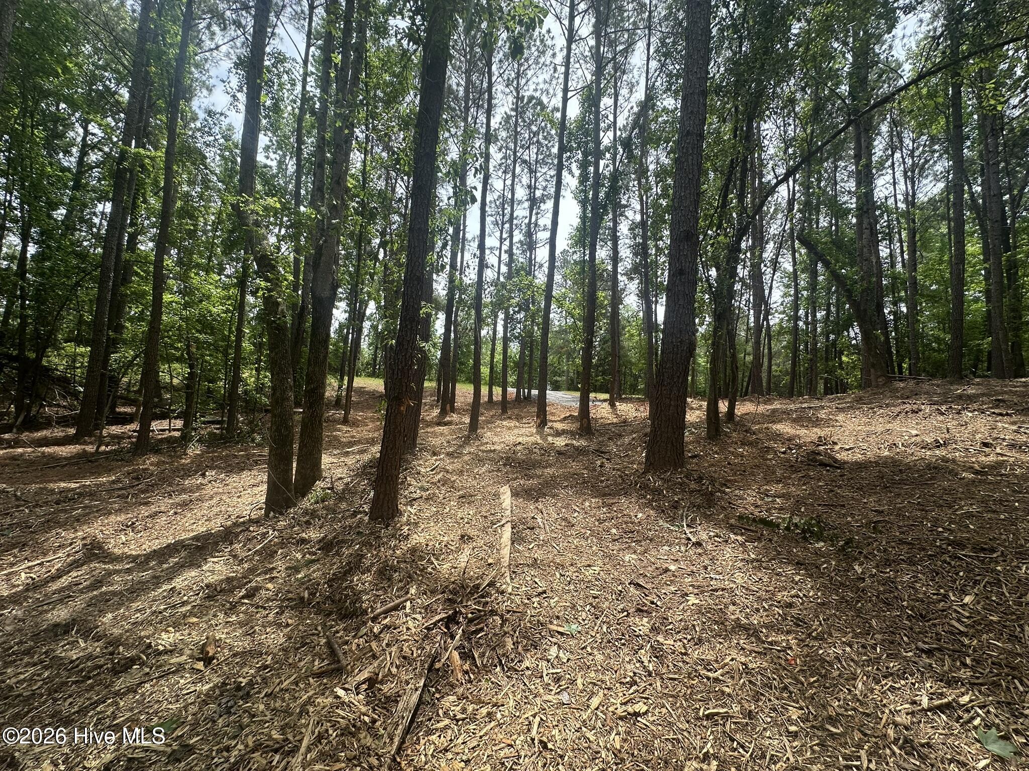 Lot E Ridge Road Property Photo 9