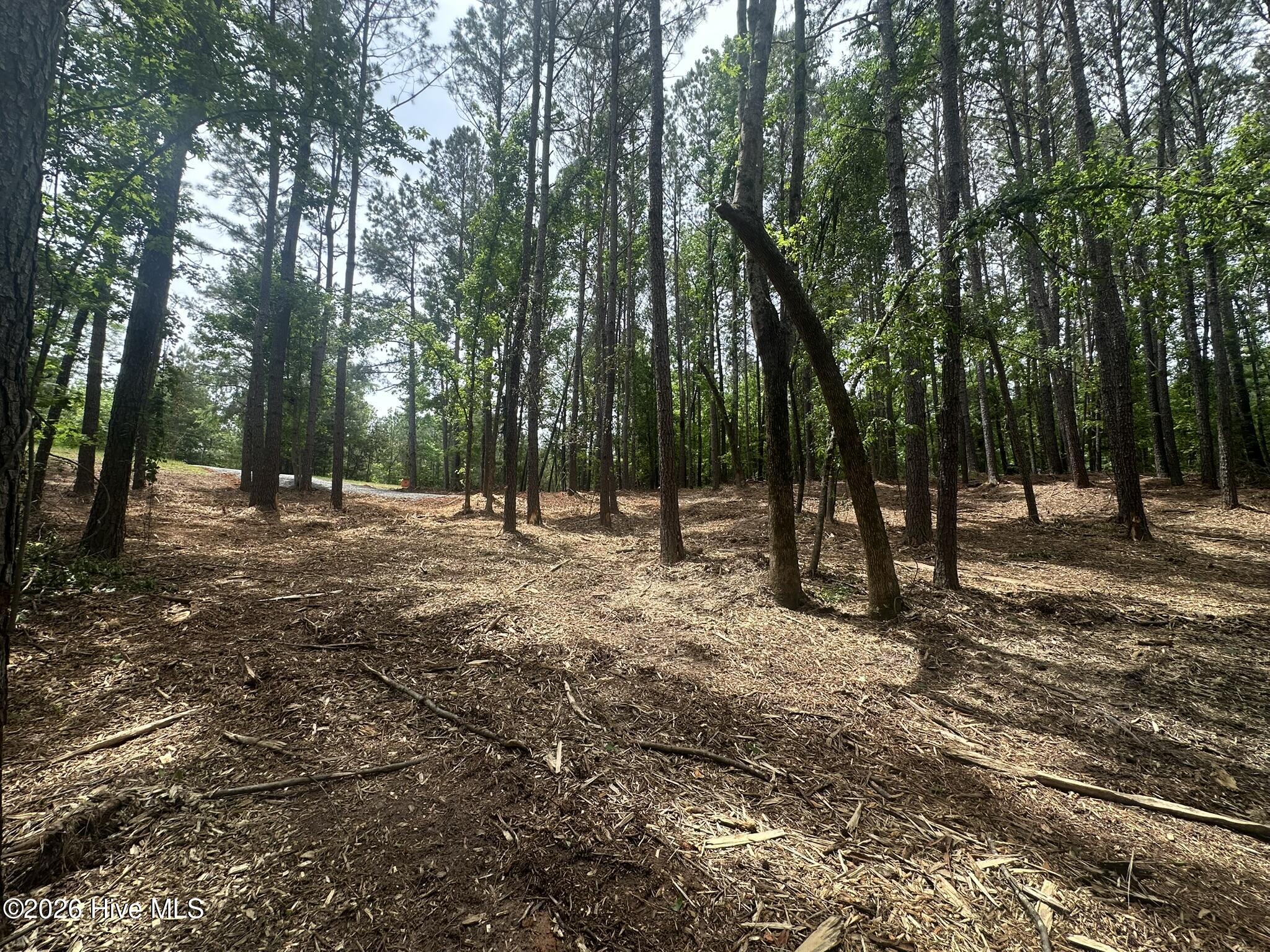 Lot E Ridge Road Property Photo 10