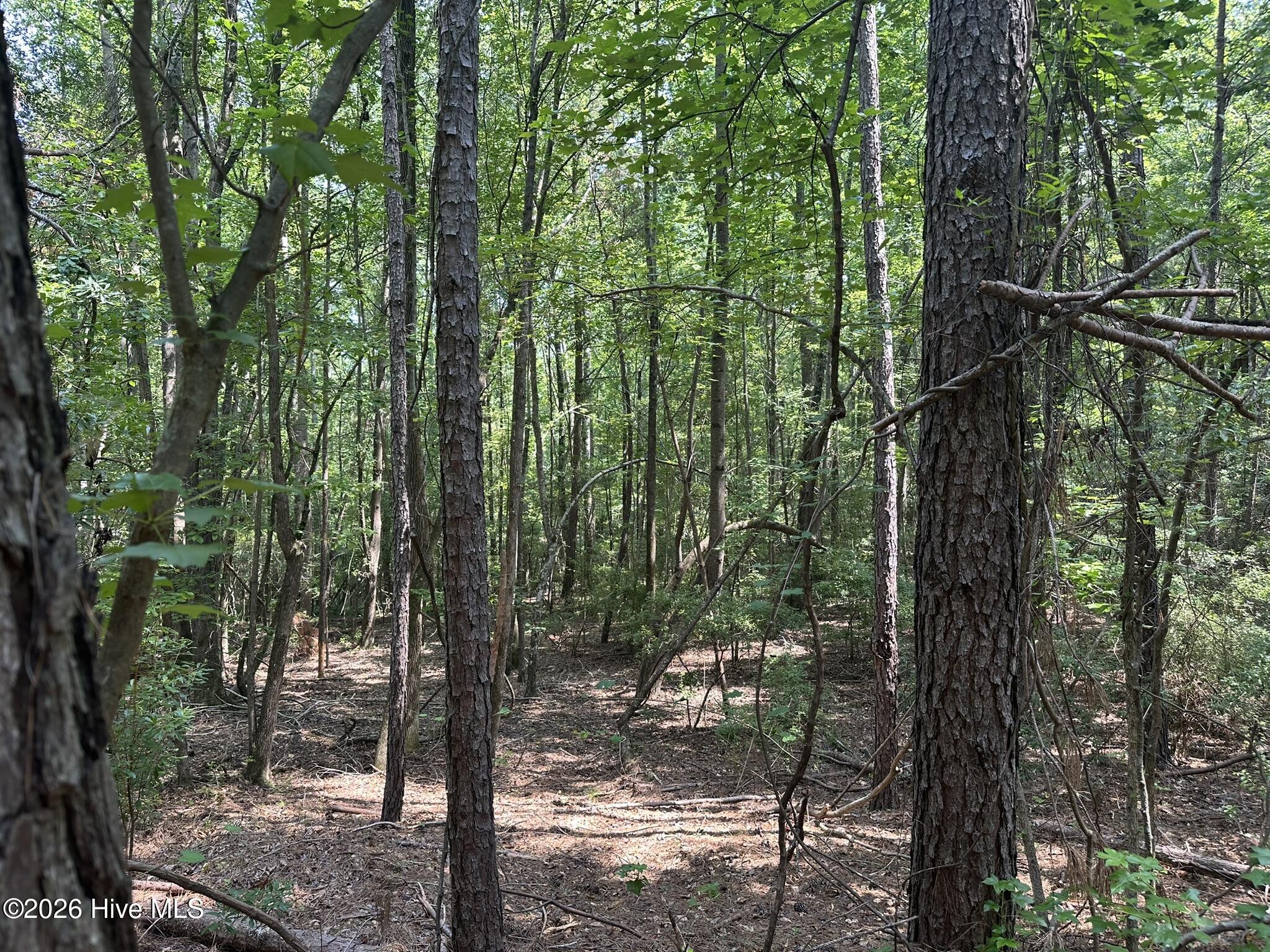 Lot E Ridge Road Property Photo 11