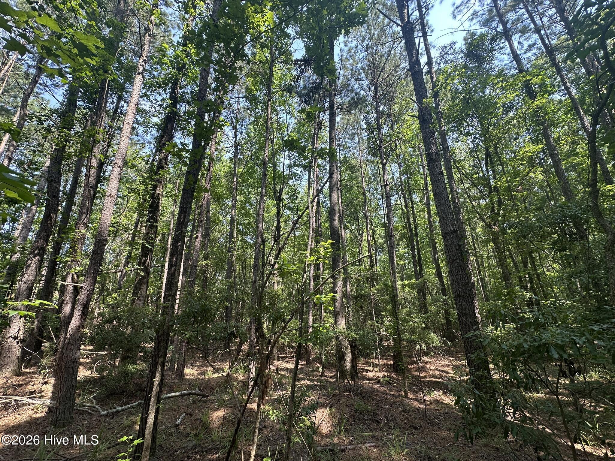 Lot E Ridge Road Property Photo 12