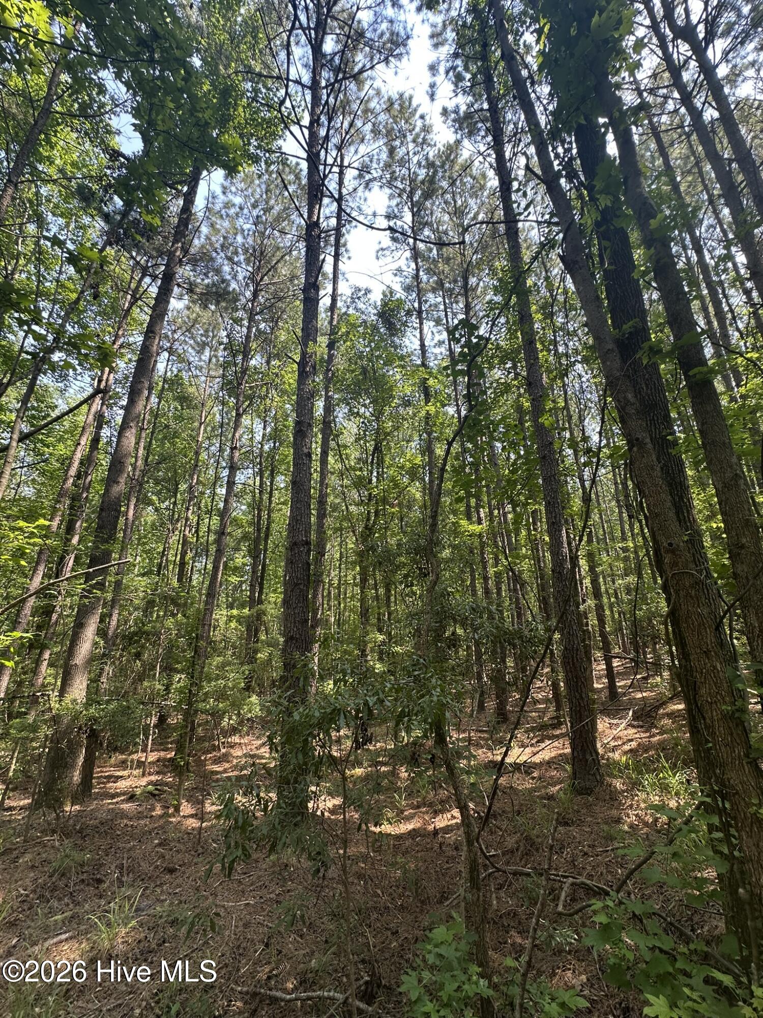 Lot E Ridge Road Property Photo 13