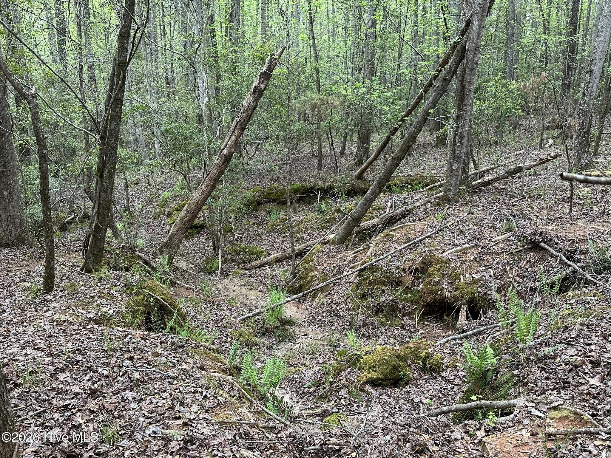 Lot E Ridge Road Property Photo 16