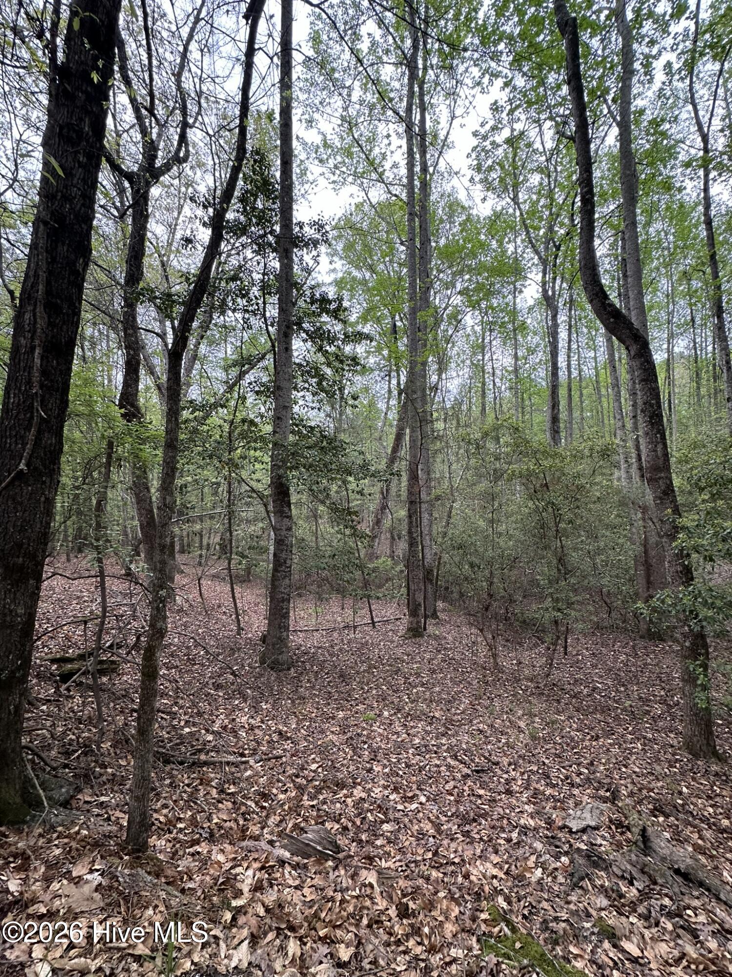 Lot E Ridge Road Property Photo 17