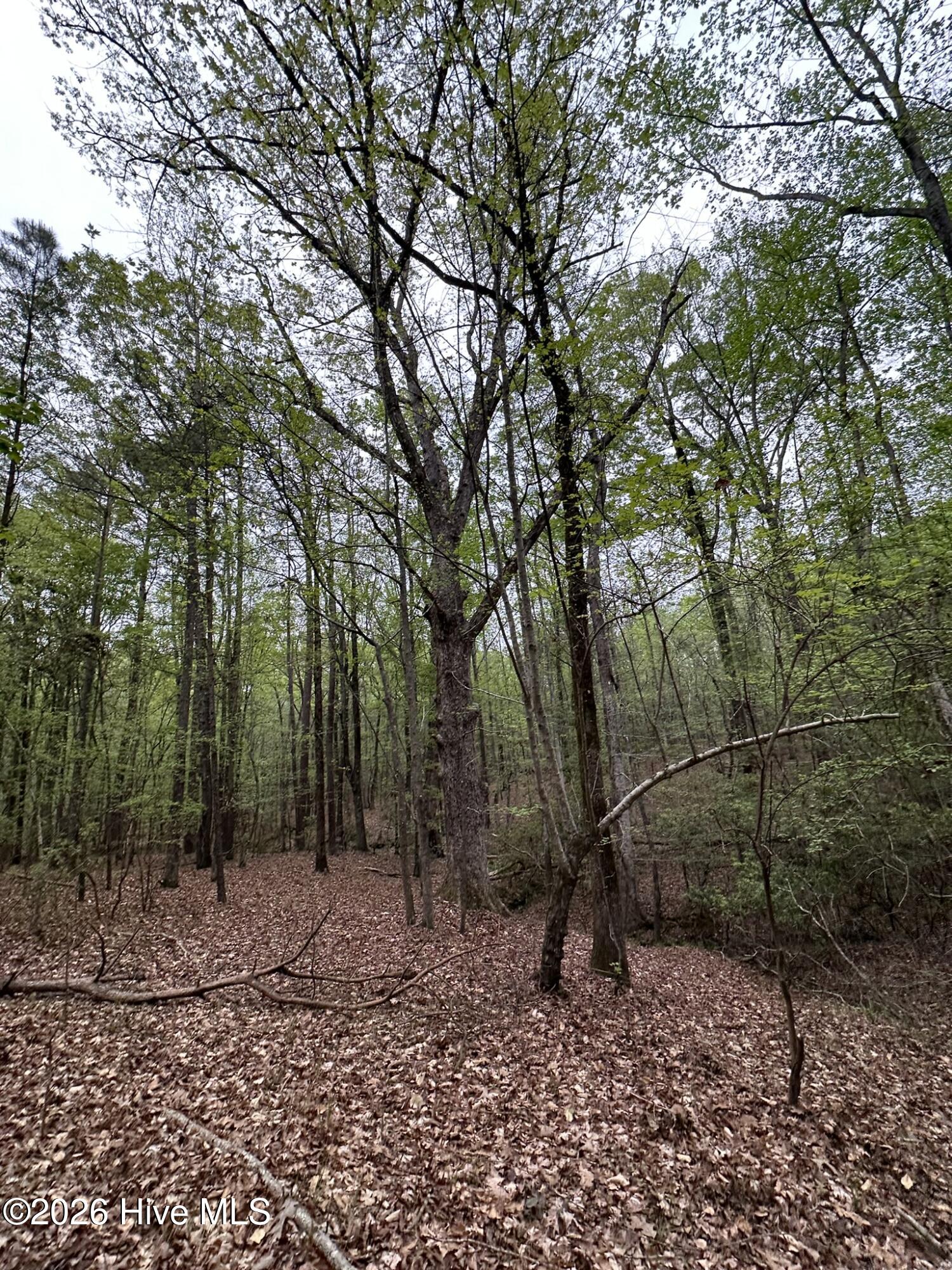 Lot E Ridge Road Property Photo 18