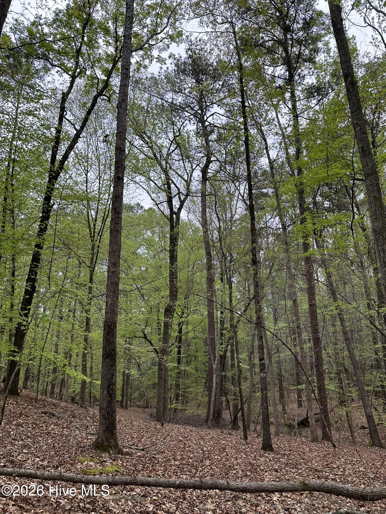 Lot E Ridge Road Property Photo 19