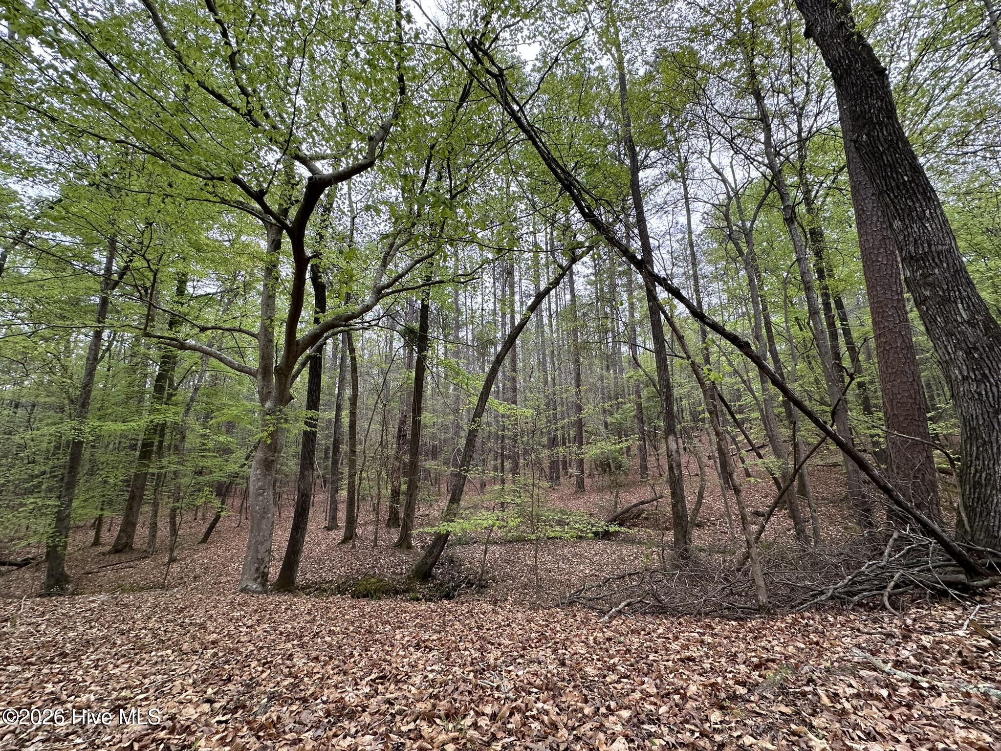 Lot E Ridge Road Property Photo 20