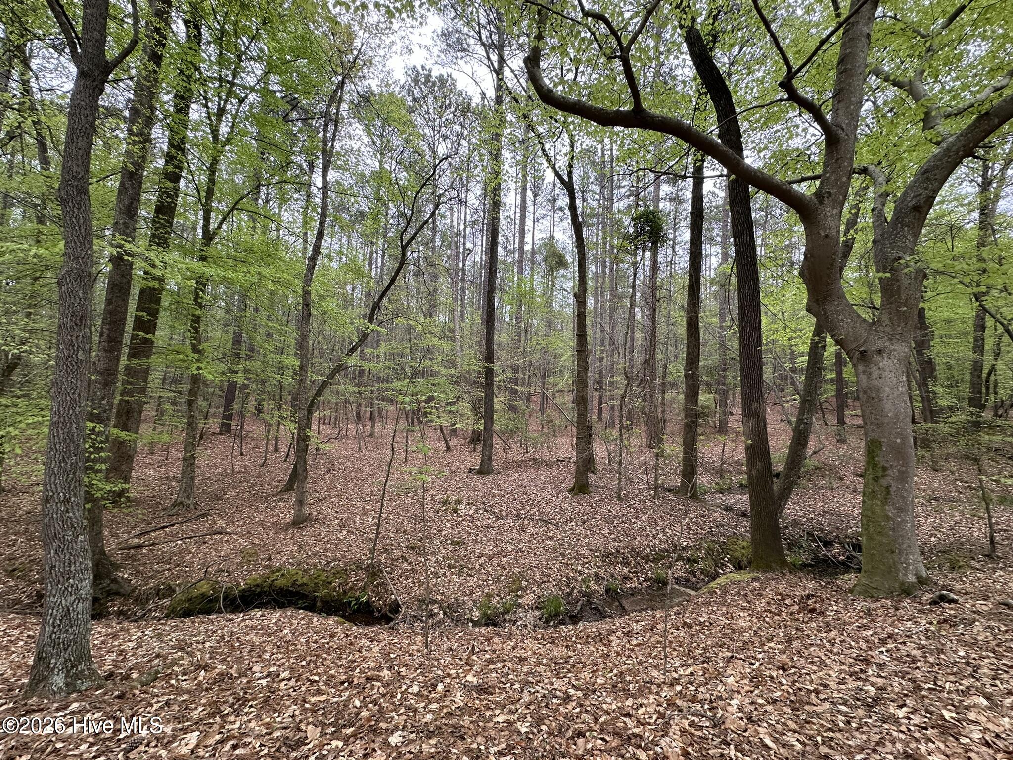 Lot E Ridge Road Property Photo 21