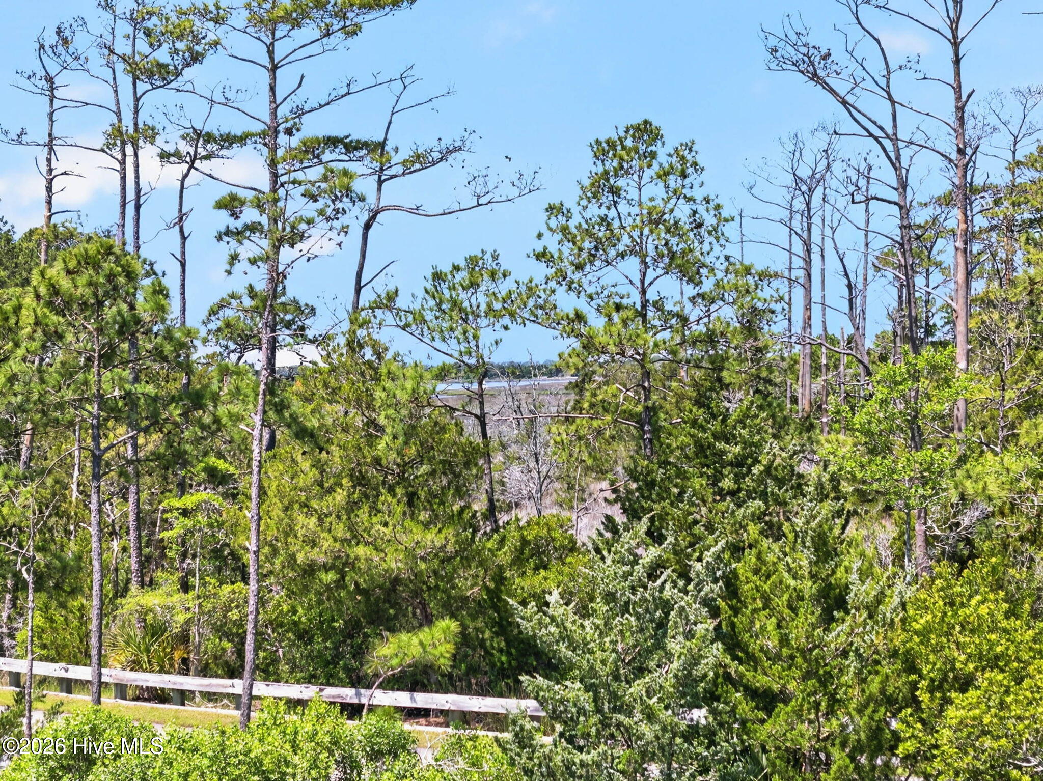 614 Marsh Grass Court Property Photo 65