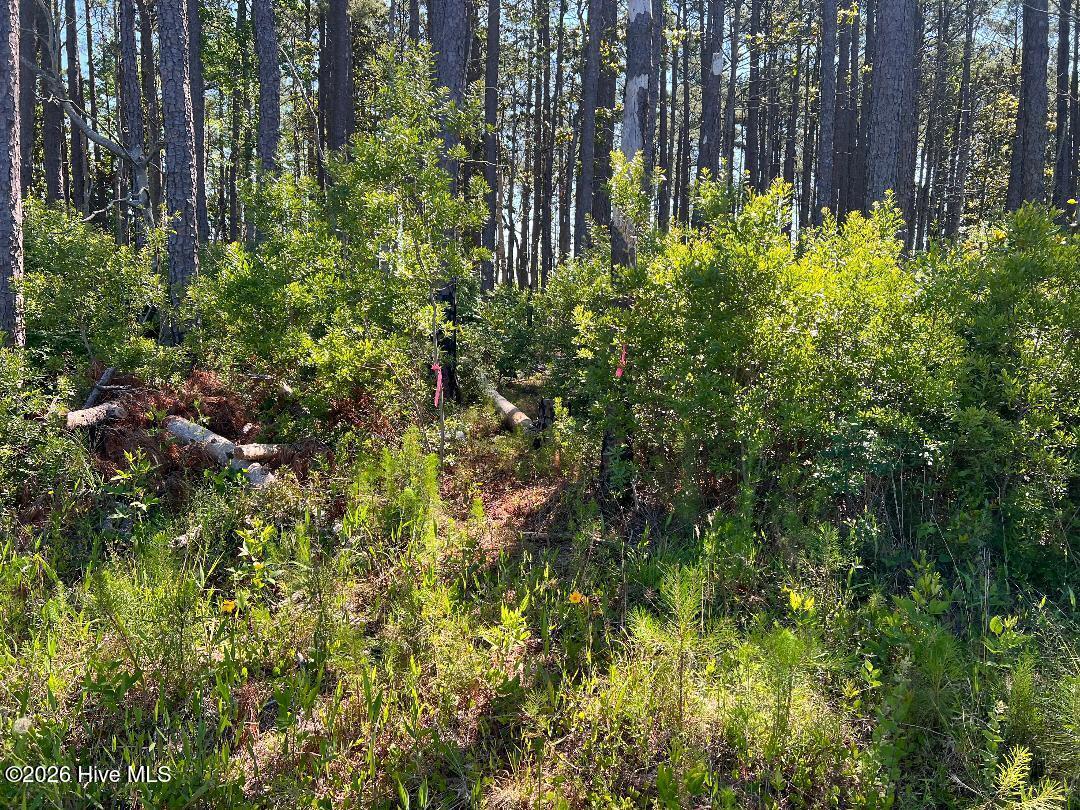 556 2 Property Photo 3
