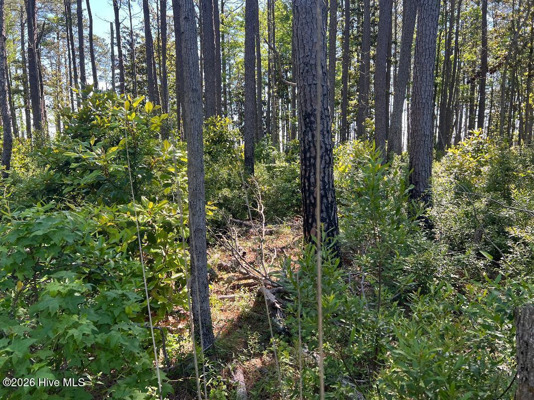 570 5 6 7 Highway 70 Property Photo 3