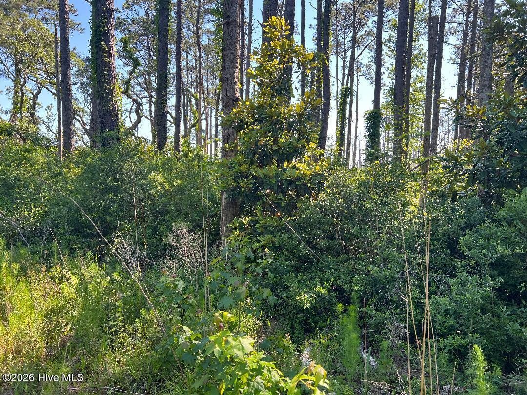 570 5 6 7 Highway 70 Property Photo 4