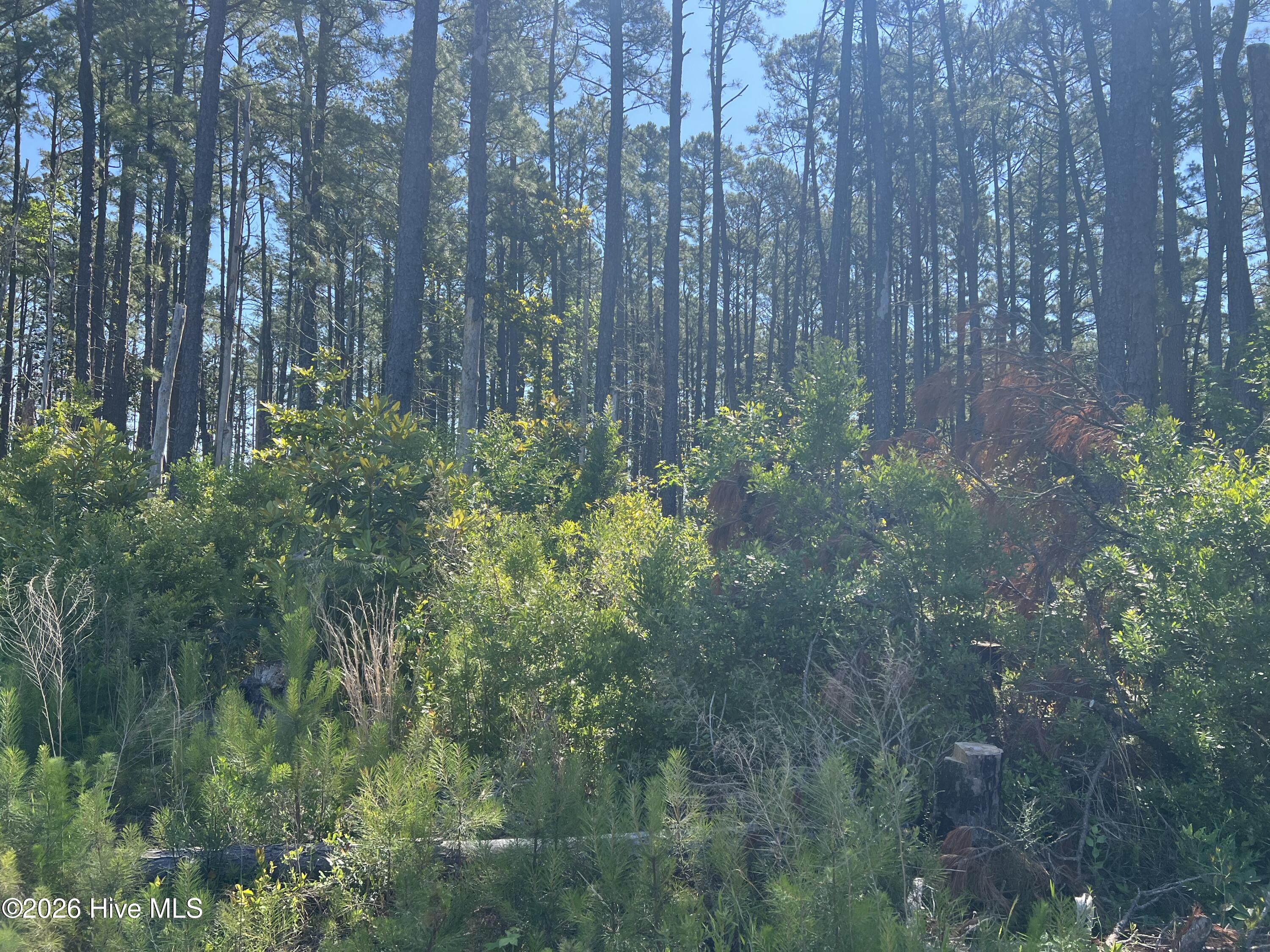 570 5 6 7 Highway 70 Property Photo 5