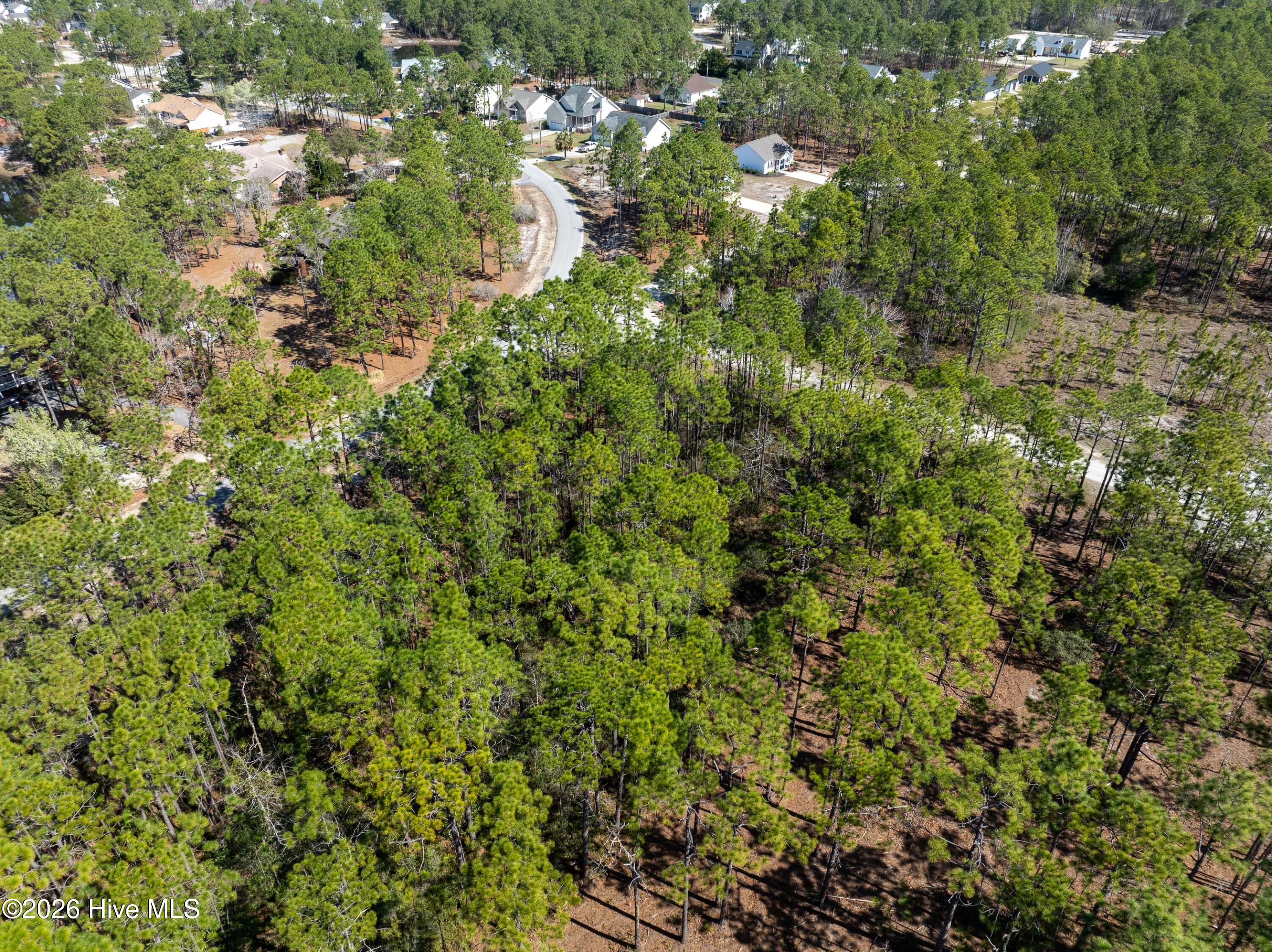 0 Monroe Road Property Photo 2