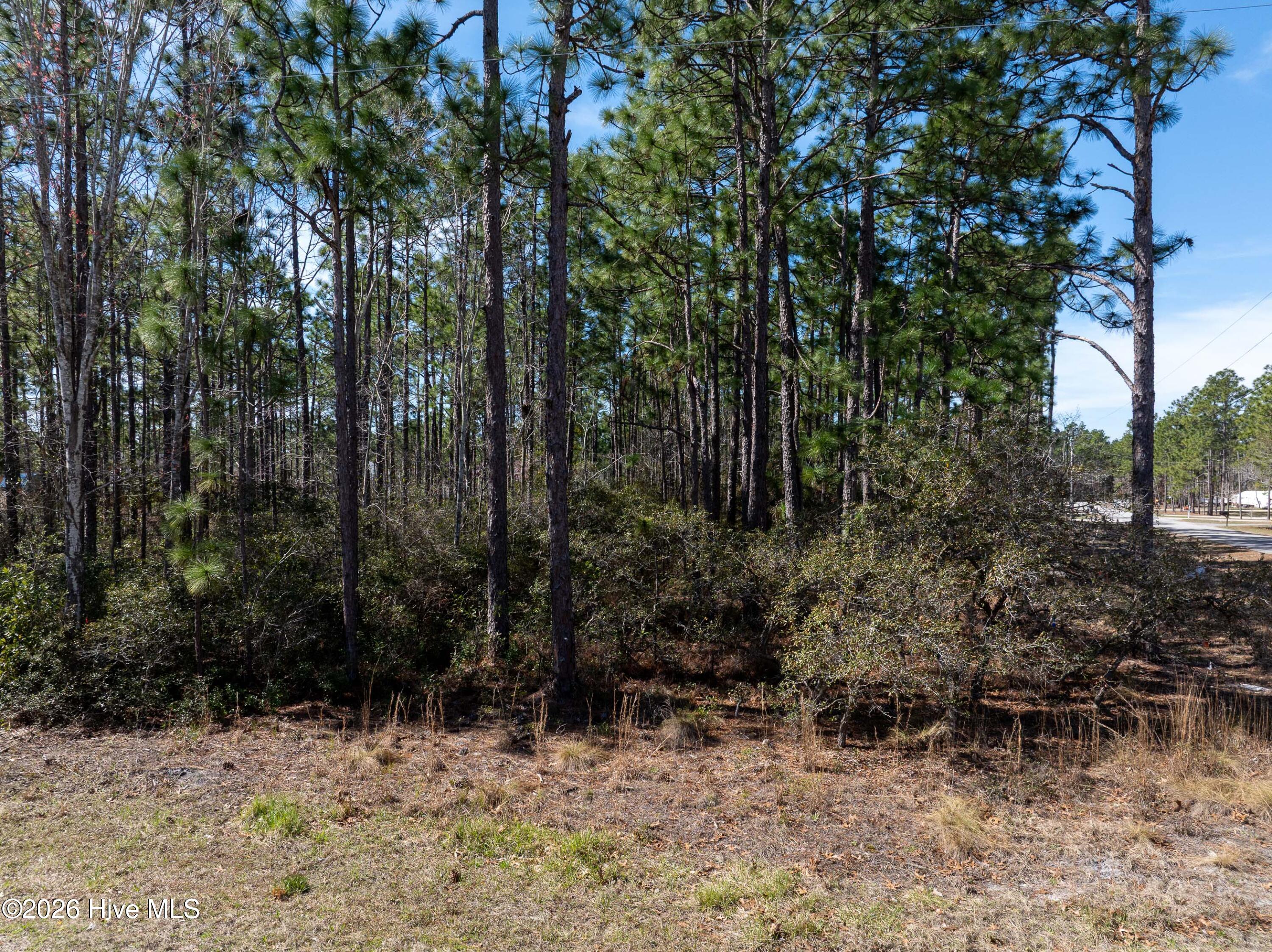 0 Monroe Road Property Photo 6