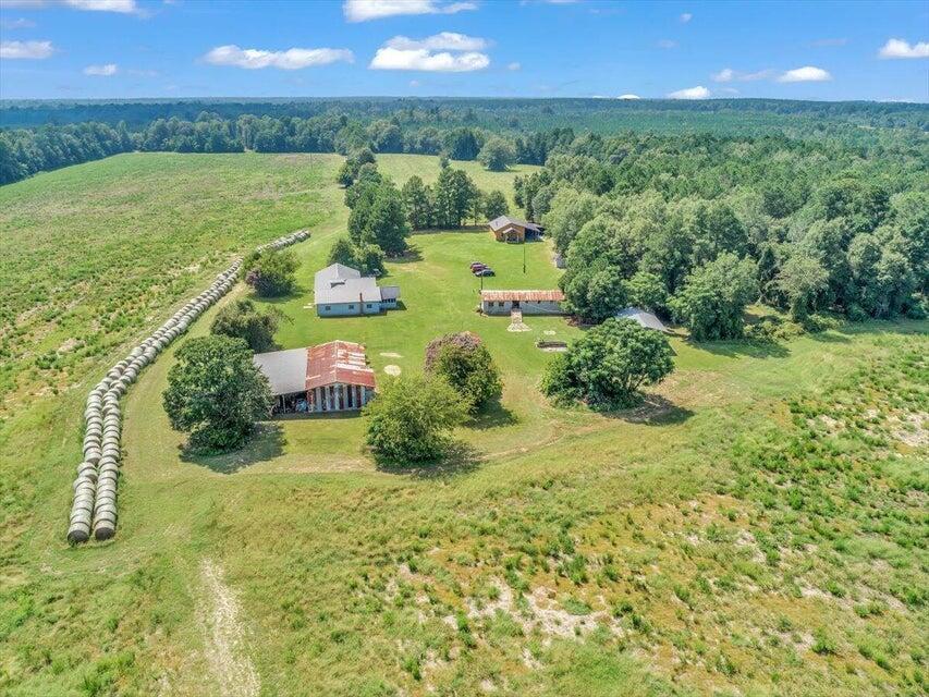 356 Massey-doss Road Property Photo 5