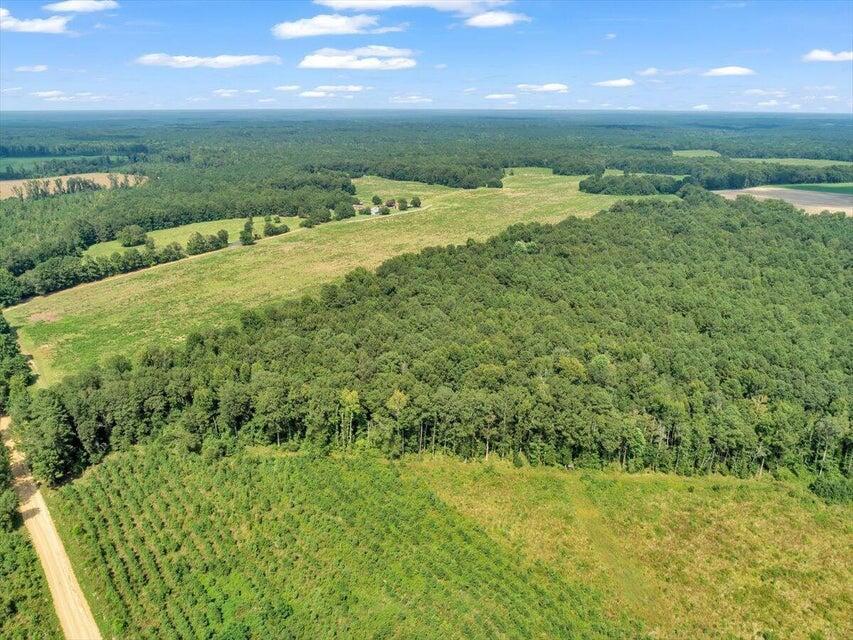 356 Massey-doss Road Property Photo 9