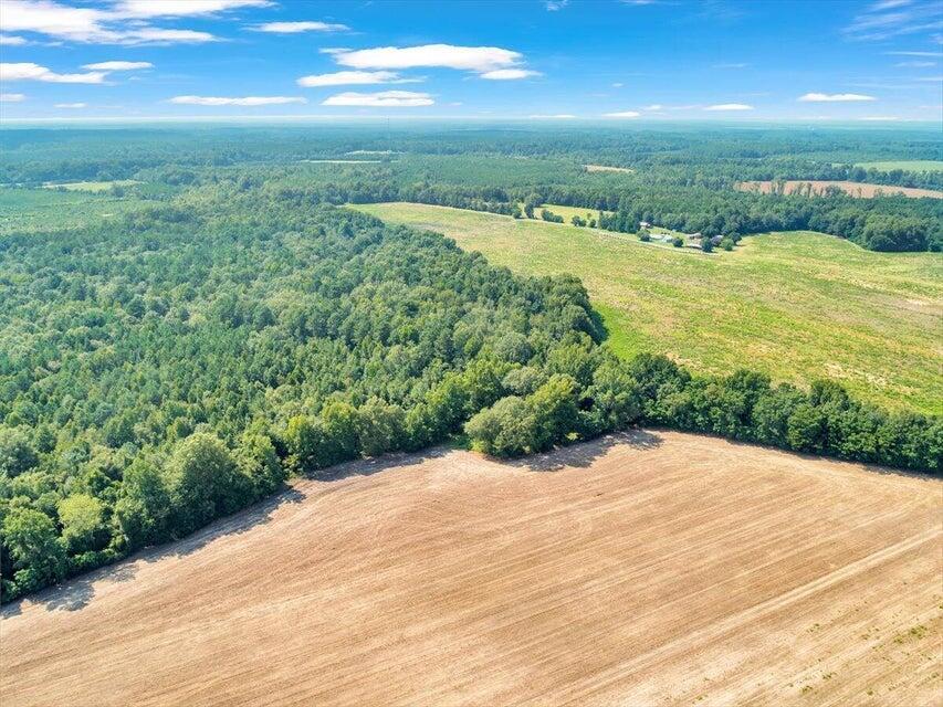 356 Massey-doss Road Property Photo 10