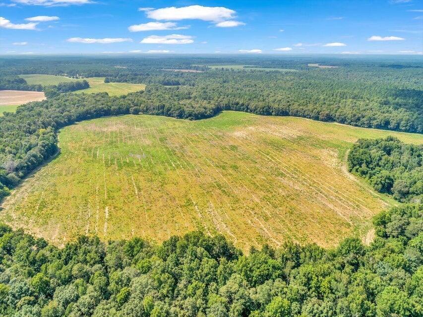 356 Massey-doss Road Property Photo 11