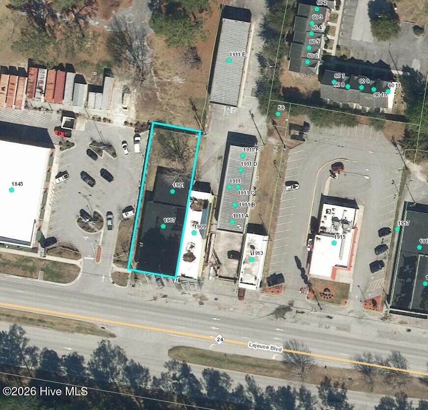 1907 Lejeune Boulevard Property Photo 3