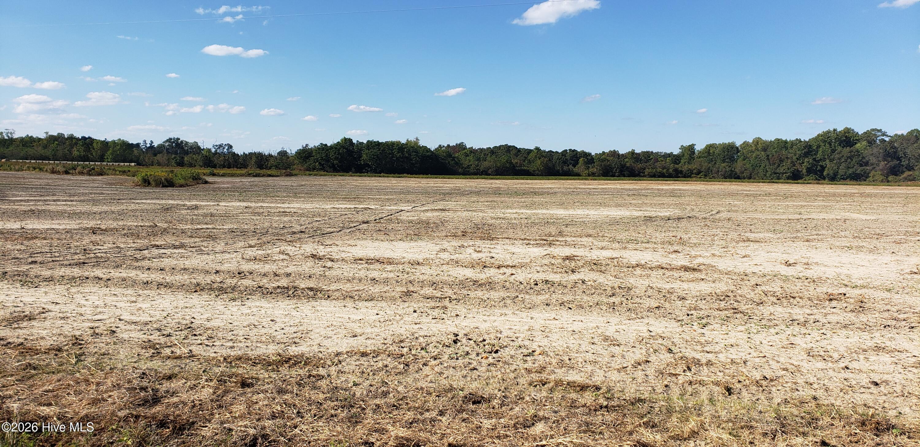 510 Mitchell Loop Road Property Photo 4