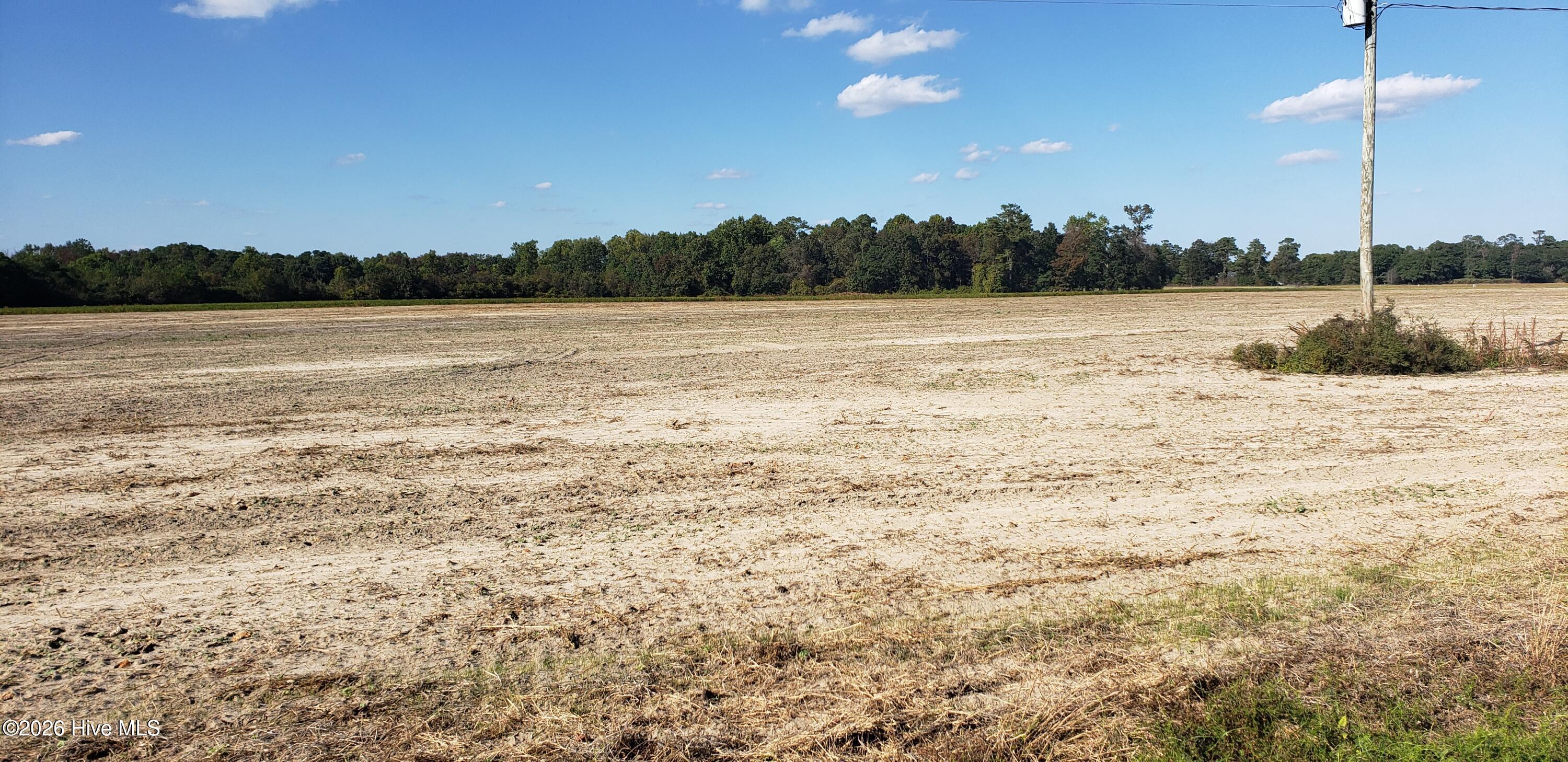 510 Mitchell Loop Road Property Photo 5