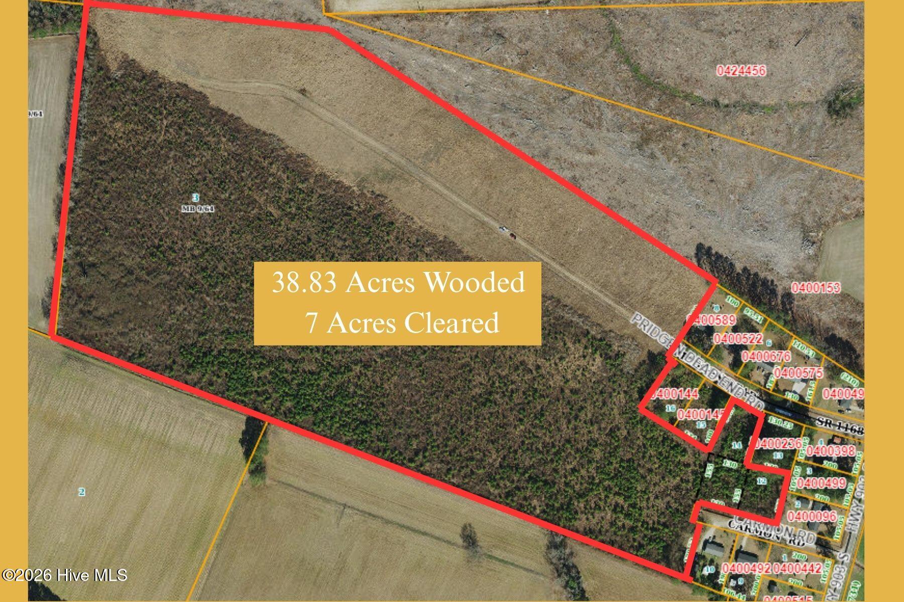 Tbd Pridgen Dead End Road Property Photo 1