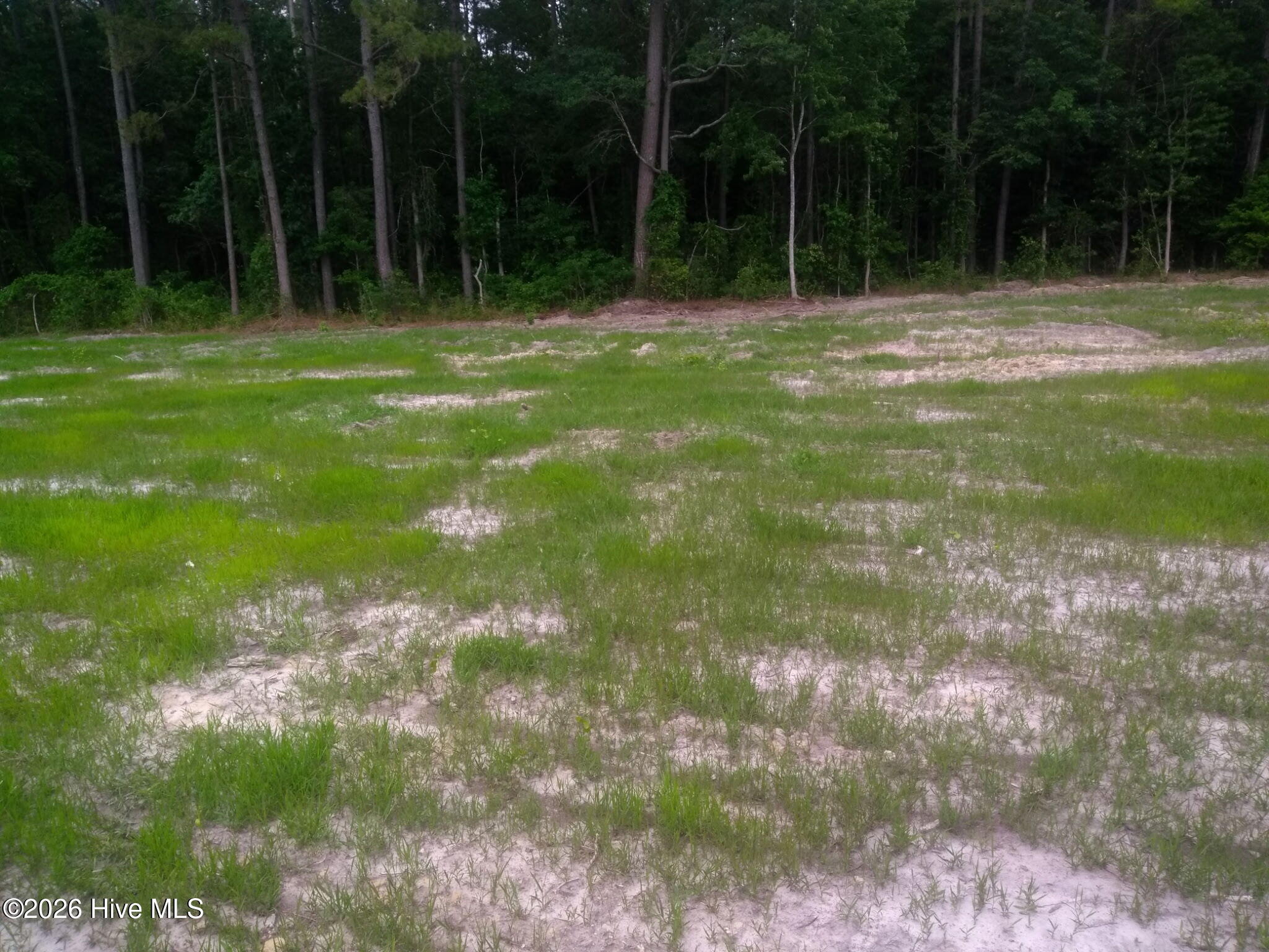 Tbd Pridgen Dead End Road Property Photo 2