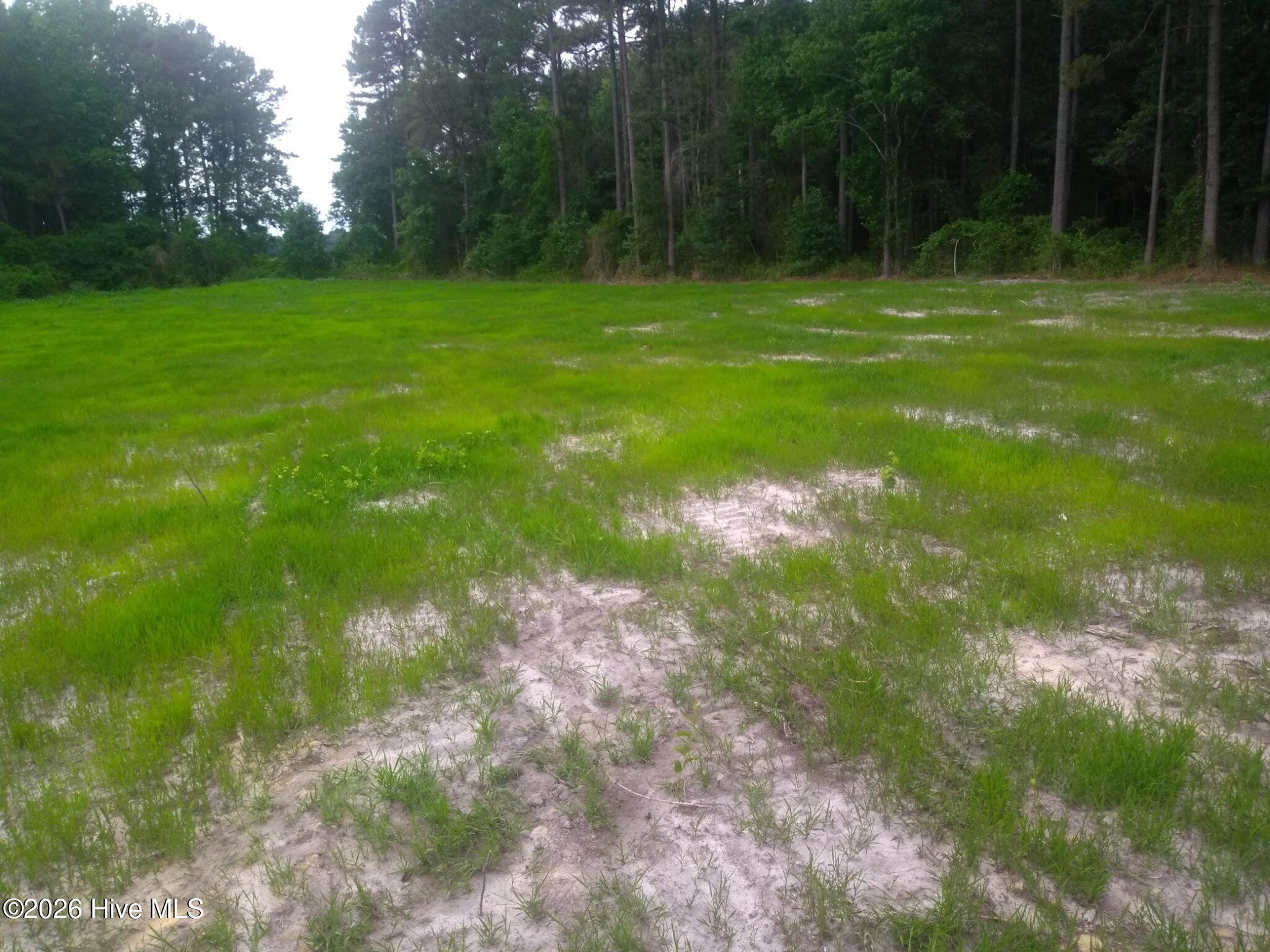 Tbd Pridgen Dead End Road Property Photo 3